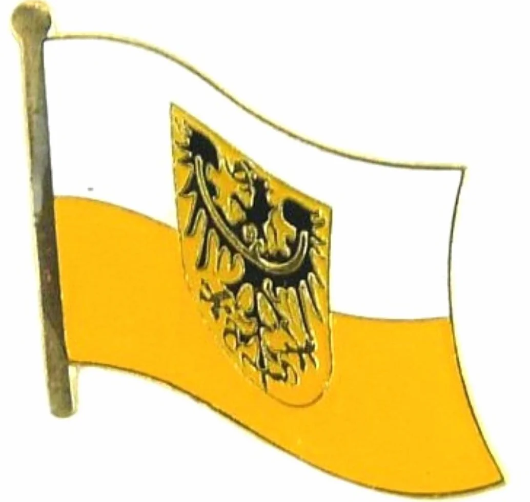 Pin Bandera Baja Silesia Badge Button