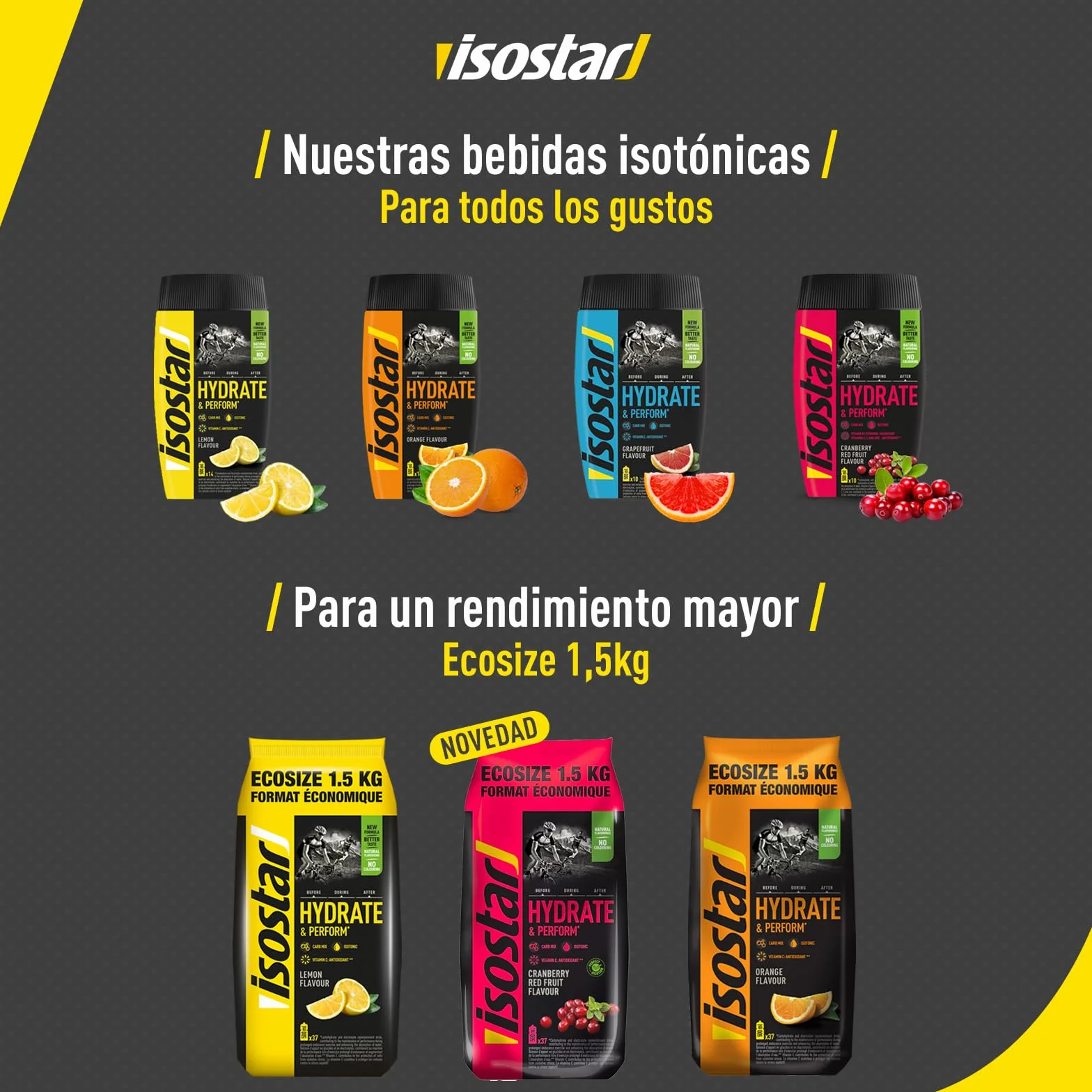 Isostar Hydrate & Perform - 1,5 kg de Bebida Electrolítica Isotónica - Solución Electrolítica para Mejorar el Rendimiento Deportivo – Sabor Arándanos, 1,5 kg (Paquete de 1)