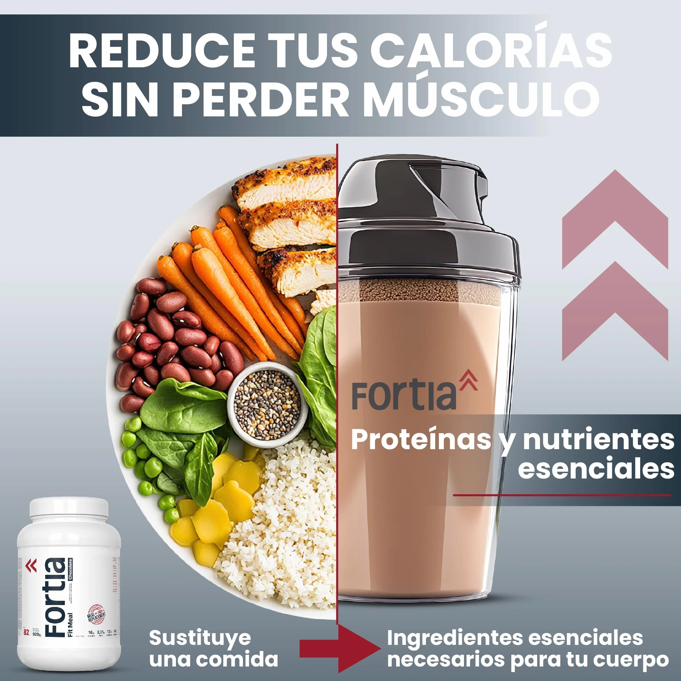 FORTIA Batidos Sustitutivos De Comida Alto En Proteínas Solo 140 Kcal | Batido Sustitutivo Adelgazar Alto En Vitaminas | Batido Saciante | Batido Sin Gluten 920 g Chocolate (920 g, chocolate)