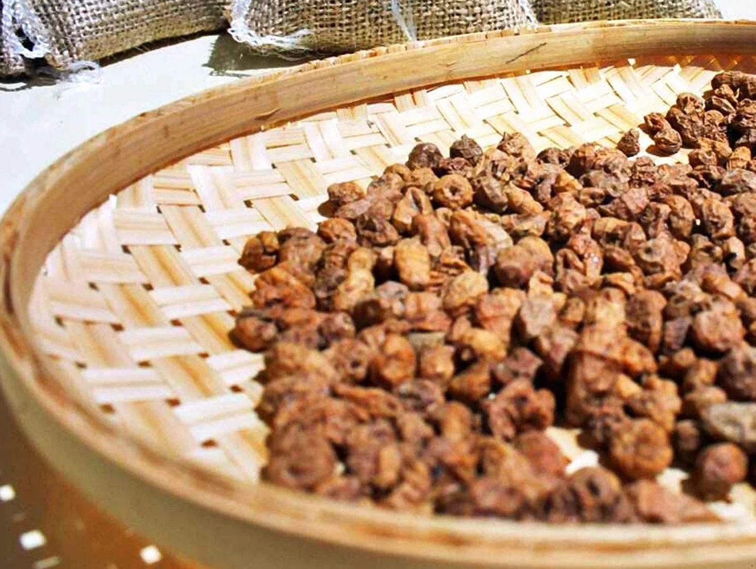 Chufa ecológica BIO 1 Kg Atmósfera protectora D.O. València - Món Orxata. Ideal para consumo en crudo o para elaboración de horchata. Conservar a menos de 15º