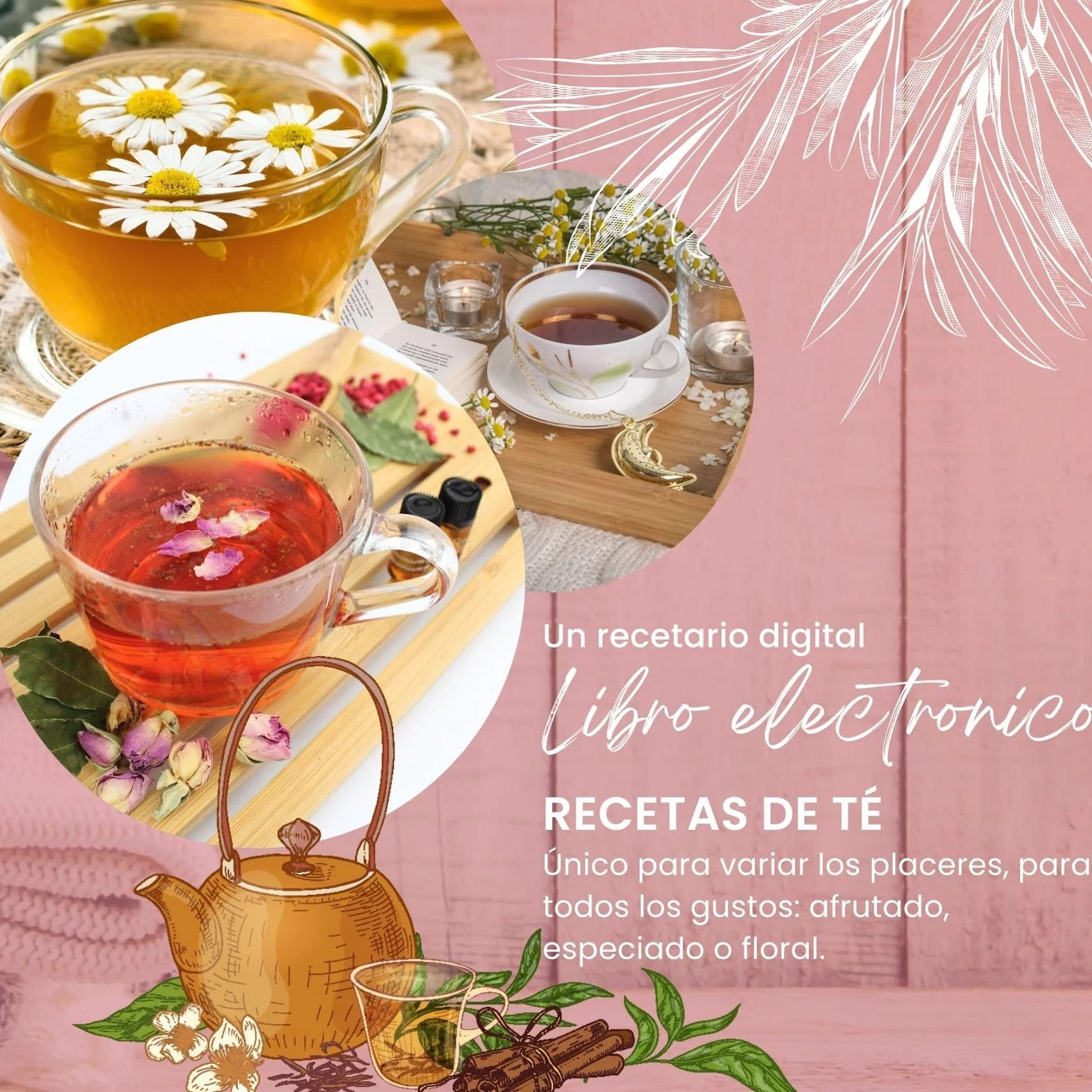 L&G® - Kit té preparación y degustación - Honeybush, Rooibos, Sancha Green, Maté - Infusores incluidos - Set de té DIY - Regalar Navidad, cumpleaños - Made in France - Ingredientes de calidad