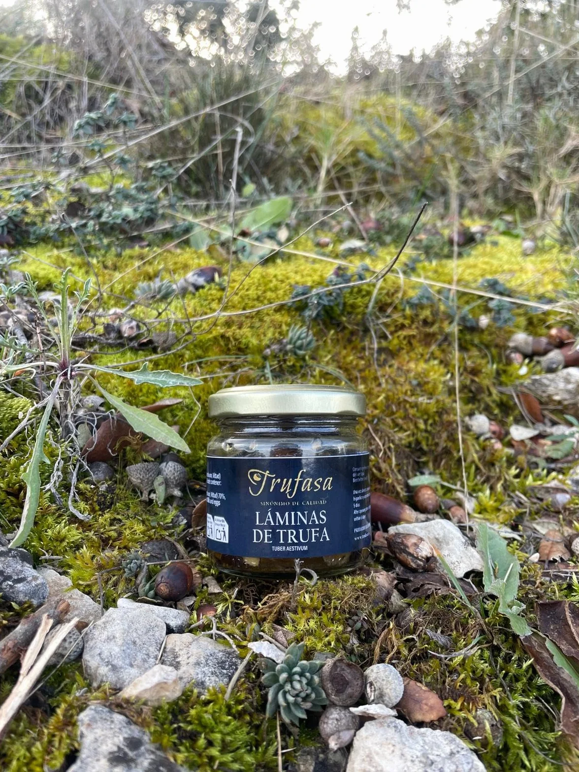 Láminas de Trufa de Verano Tuber Aestivum 70% 80 g Aceite de Oliva Virgen Extra 100% Natural