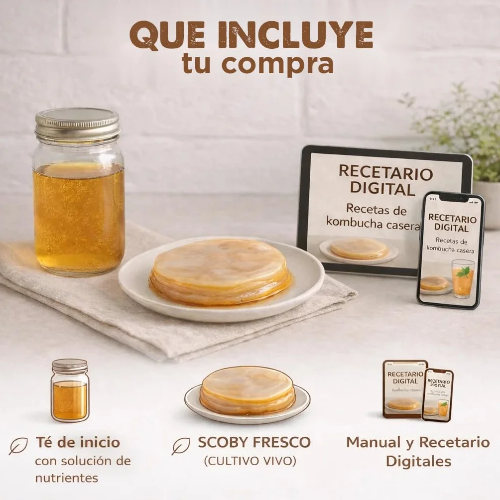 Pack 2X Disco SCOBY Kombucha Fresco + Instrucciones + Recetas + Ayuda y Asesoramiento en español - OH MY KÉFIR