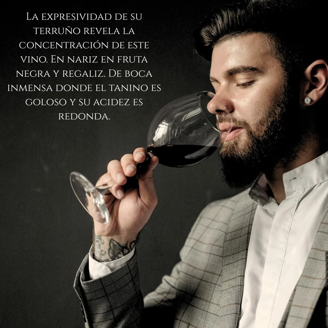 Henrique de Benoît® Vino Tinto Premium Reserva 2020 Pack 3 Botellas 750 ml | Tempranillo 45% Syrah 45%, Graciano 10% | 12 Meses Barrica + 5 Años Botella | Regalo Gourmet Vino Tinto Campiña - Madrid