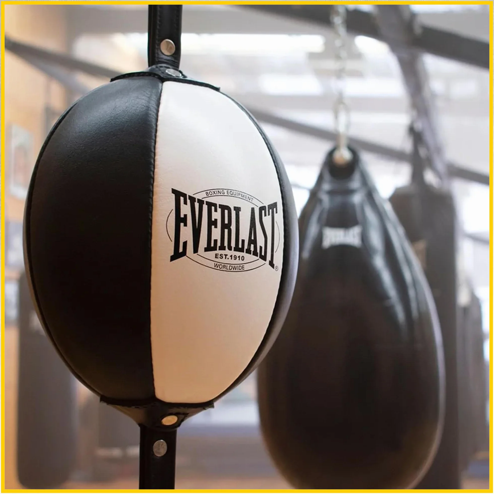Everlast 1910 Double End Speed Bag Punching