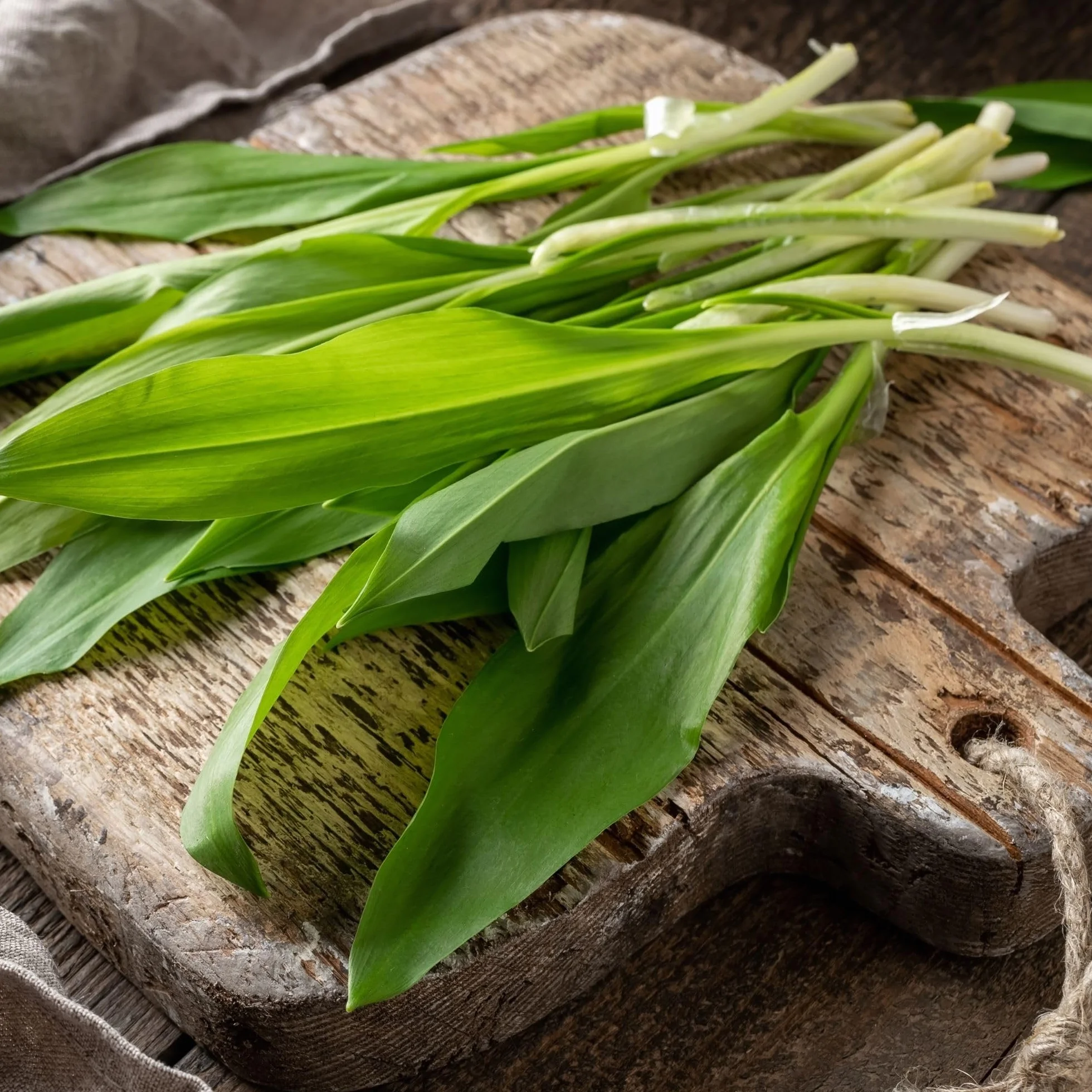 Alpi Nature Ajo Silvestre Orgánico 125g, Hojas de Ajo Silvestre Secas y Picadas para Cocinar