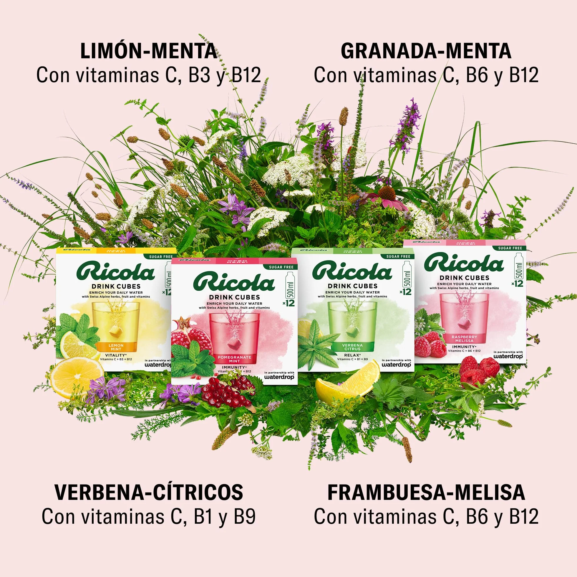 waterdrop® x Ricola, 48 Pastillas Saborizantes Agua, Bebidas Instantaneas Mix 4 Sabores Naturales: Frambuesa, Verbena, Granada, Menta-Limón. Sin Azúcar, baja en calorías con vitaminas