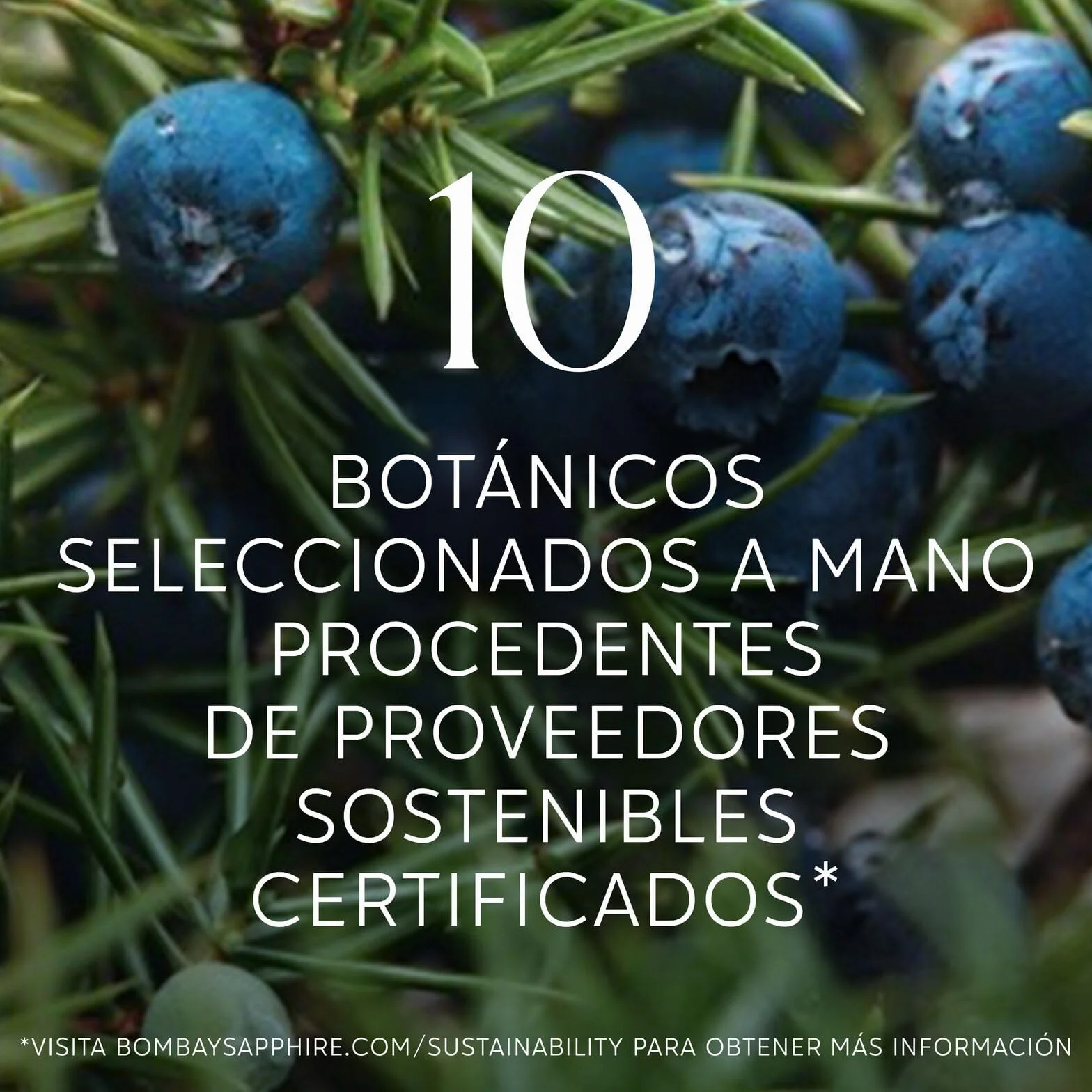 Latas de cóctel Bombay Sapphire Gin & Tonic listo para tomar, 6,5% Vol., 25 cl / 250 ml (pack de 12), bebidas alcohólicas con London Dry Gin 100% infusionada al vapor