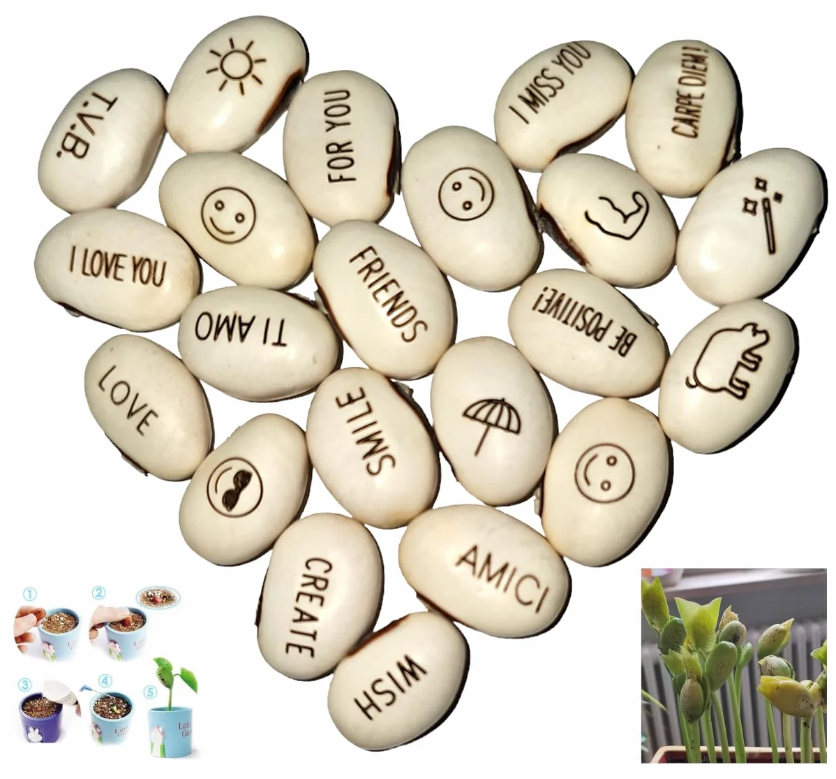 J&J Paquete de 20 Semillas Magic Bean Magic Beans Idea de Regalo Evento recurrente Idea de curiosidad Regalo para el hogar Bingo Fiesta de Navidad en el Amor Mensaje Especial