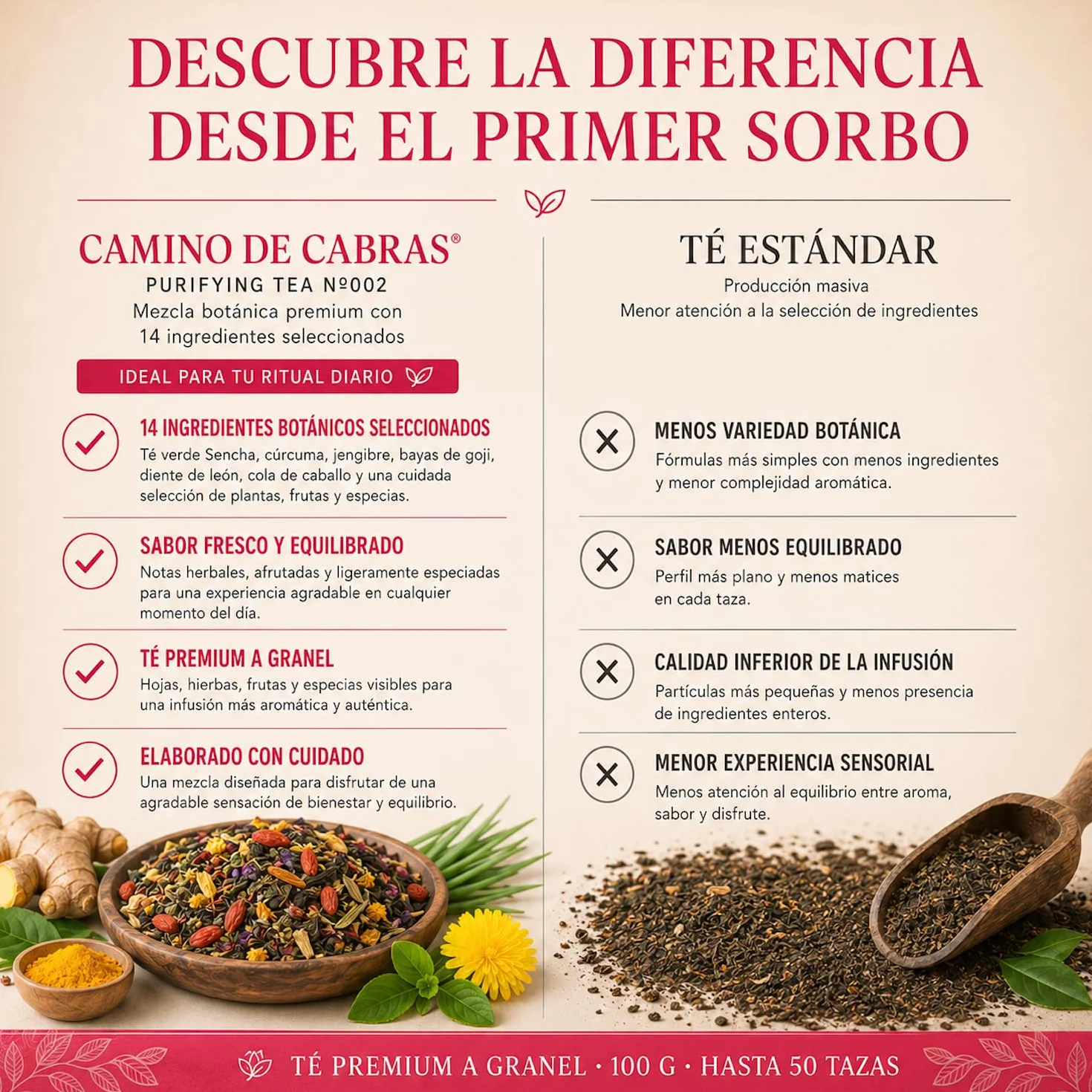 DETOX | Té Depurativo | Infusión drenante con efecto diuretico | Te Verde, Cola de Caballo, Diente de León, Curcuma, Jengibre, Bayas de Goji, Piña | Antioxidante Natural 100g