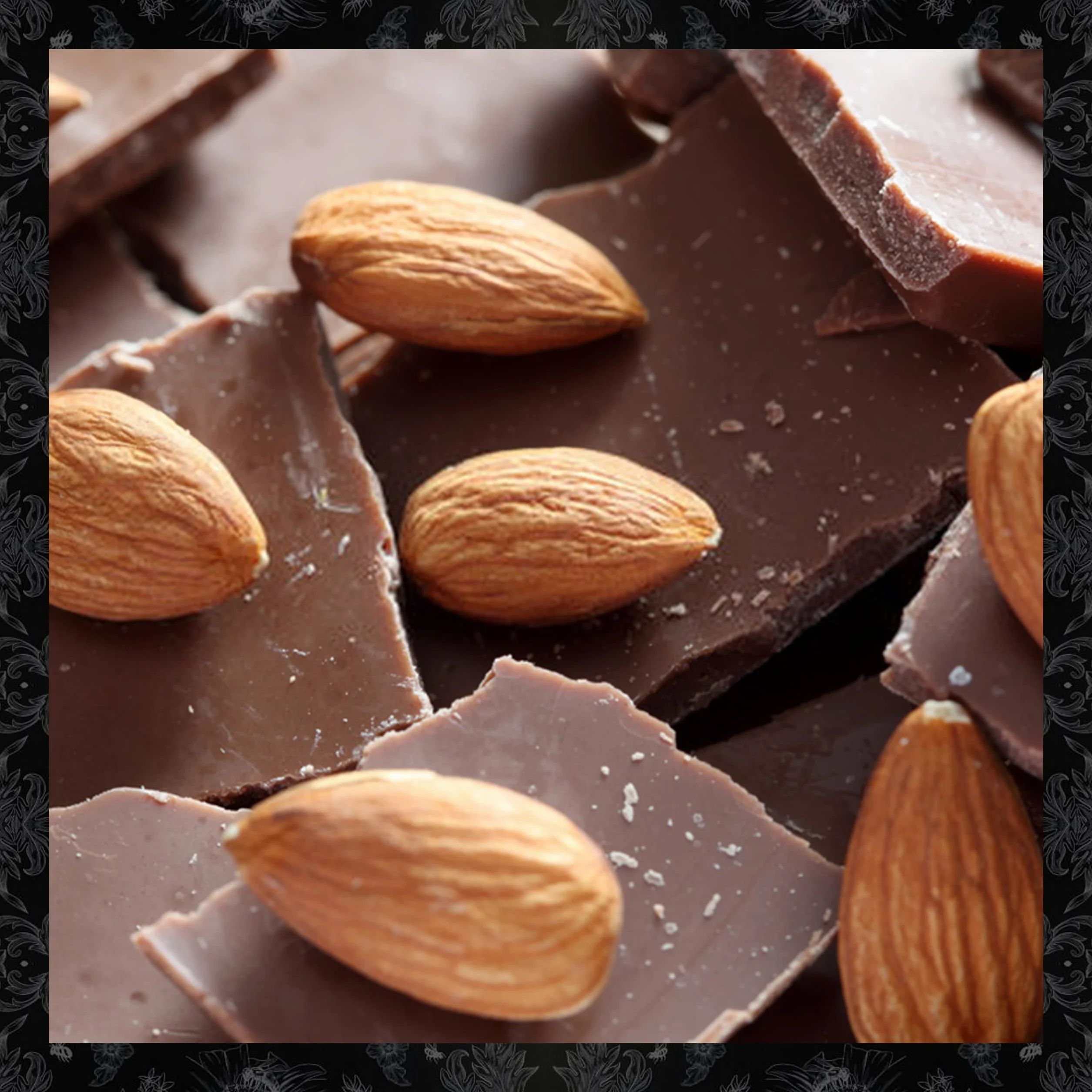 1880 - Bombonias de Almendra Caramelizada recubierta de Chocolate Blanco y espolvoreadas de Cacao | Envoltorio Individual | Calidad Suprema Snack de Turrón 160G