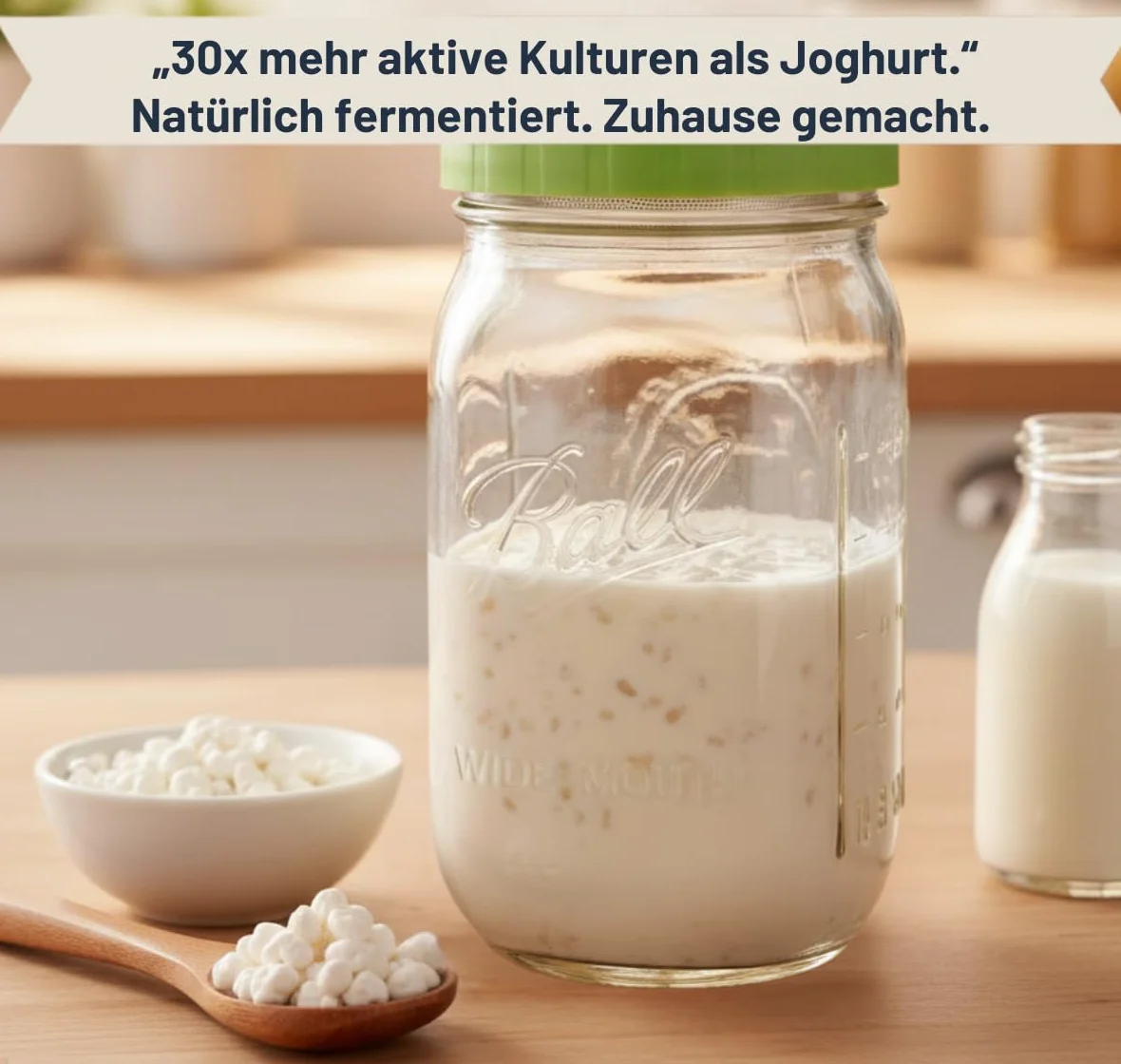 Orgánico Juego de kéfir de leche, cultivo inicial, tubérculos vivos para fermentación reutilizable