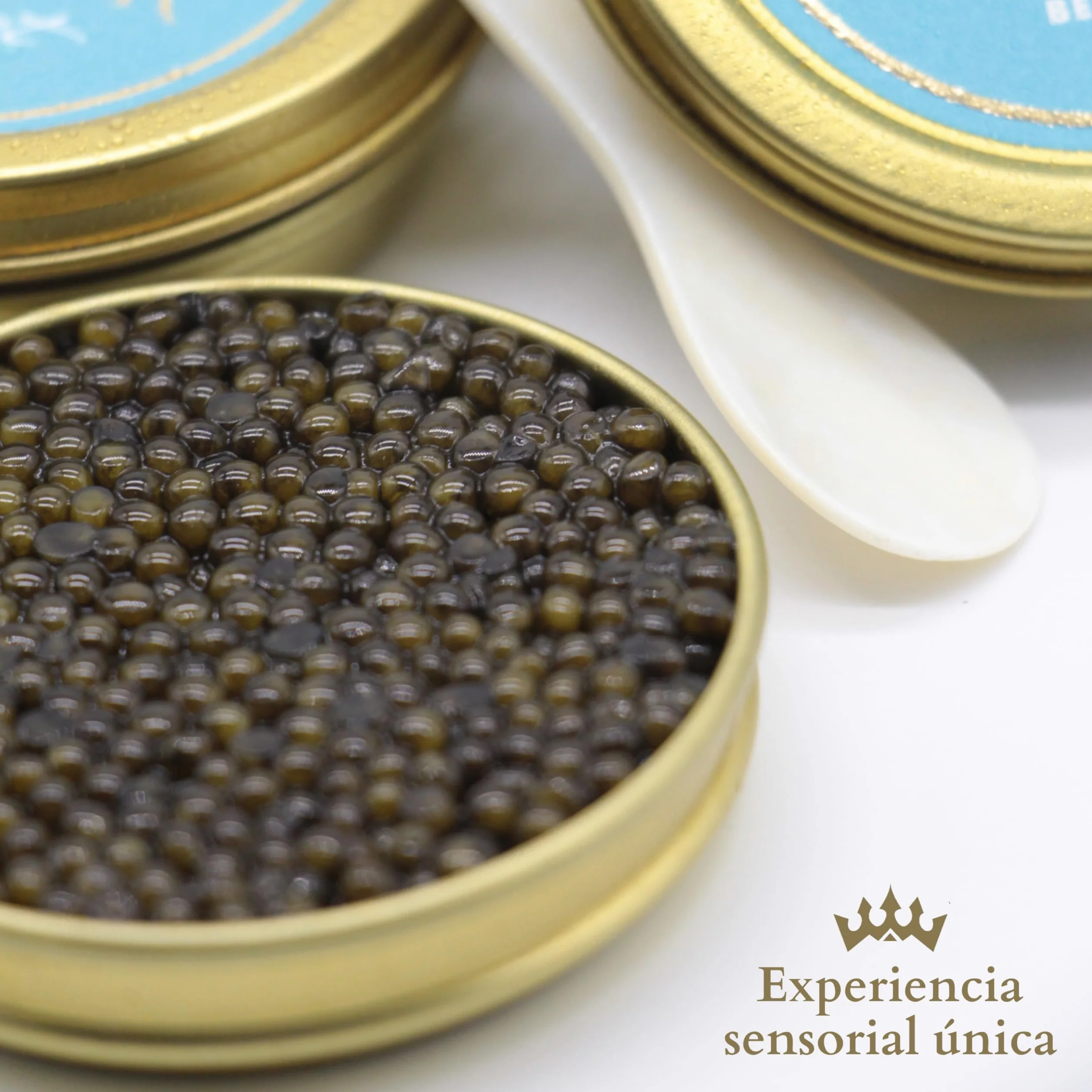 Caviar del Tíbet – Caviar Beluga 100 GR – Caviar de Esturión Huso Dauricus – Huevas de Caviar Kaluga – Caviar Gourmet…