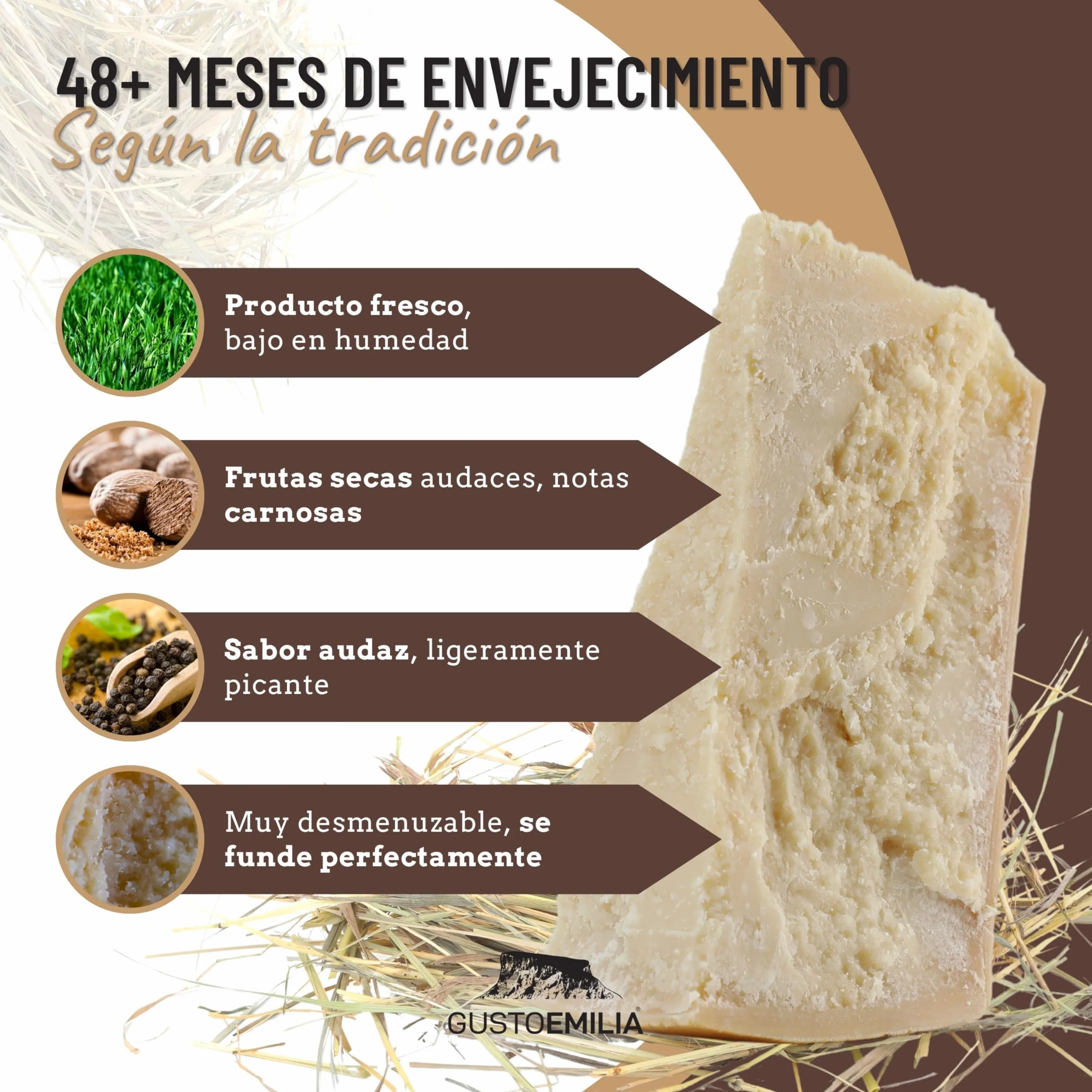 Parmigiano Reggiano 48 Meses de Maduración 1 kg