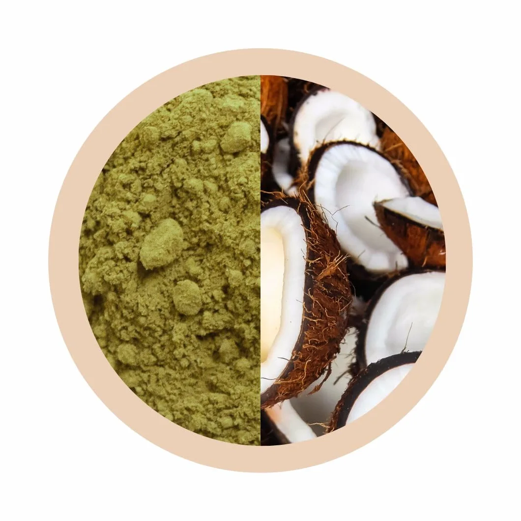 Matchaflix | Doypack Premium Coco | Té en Polvo | Matcha en Polvo | 100g (Doypack)