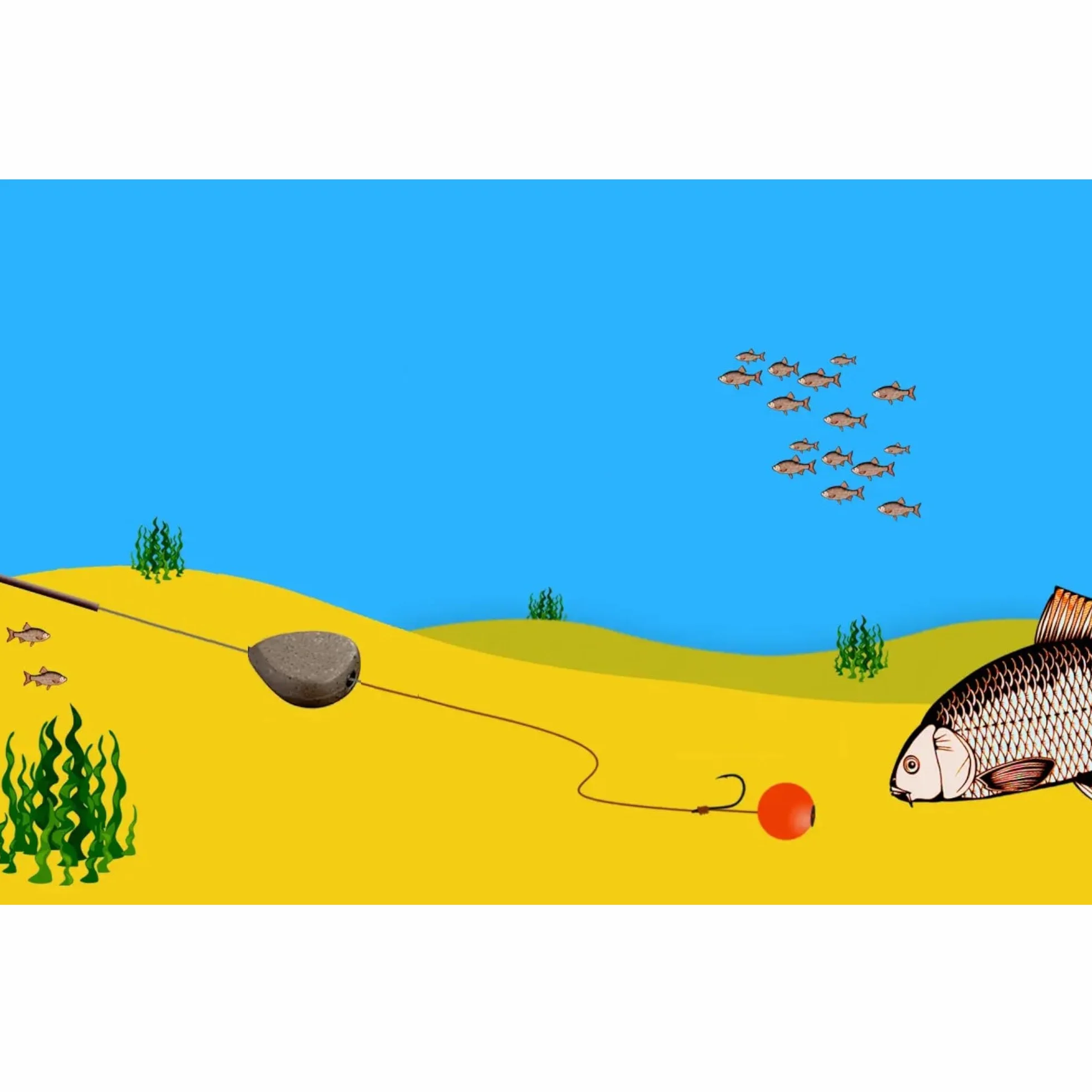 Inline Plomos Pesca 20 x 30g - Set Pescar Carpfishing Accesorios - Kit de Pesca Completo