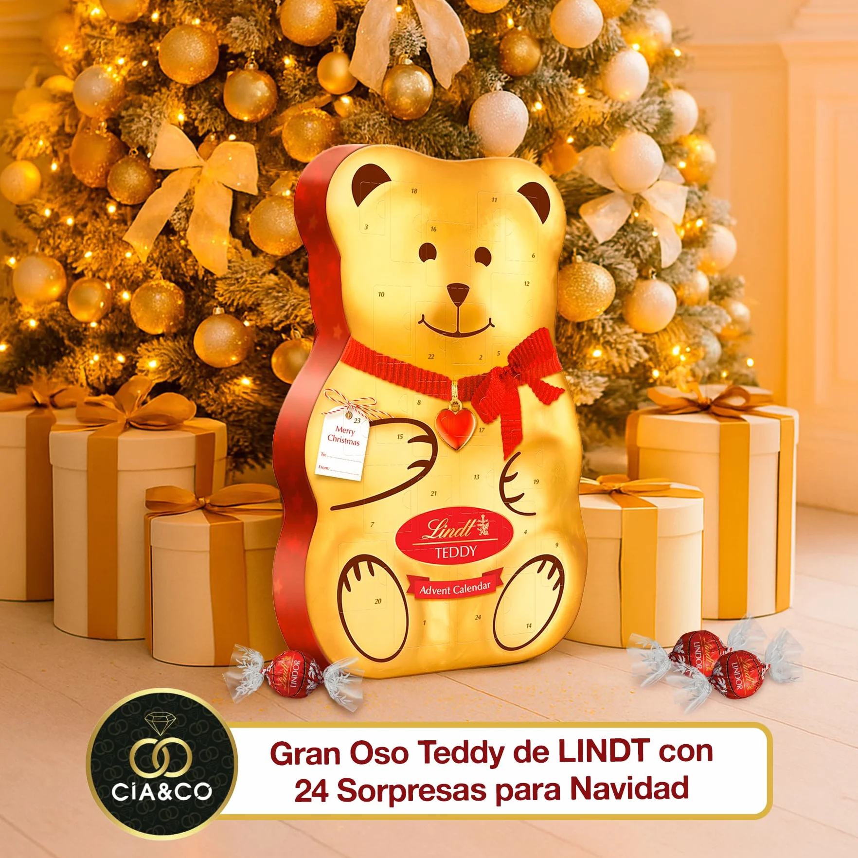 Gran Calendario de Adviento OSO TEDDY 2025 · Gran Formato 310 g · Incluye Tarjeta Personalizada Navidad Cia&Co · Surtido de Bombones y Figuras de Chocolate con Leche · Regalo Premium