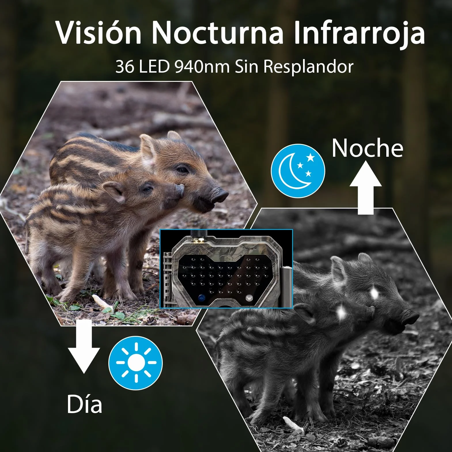 Meidase P300 Cámara de Caza WiFi Bluetooth 50m Alcance 64MP 1296p Visión Nocturna IP66 Impermeable
