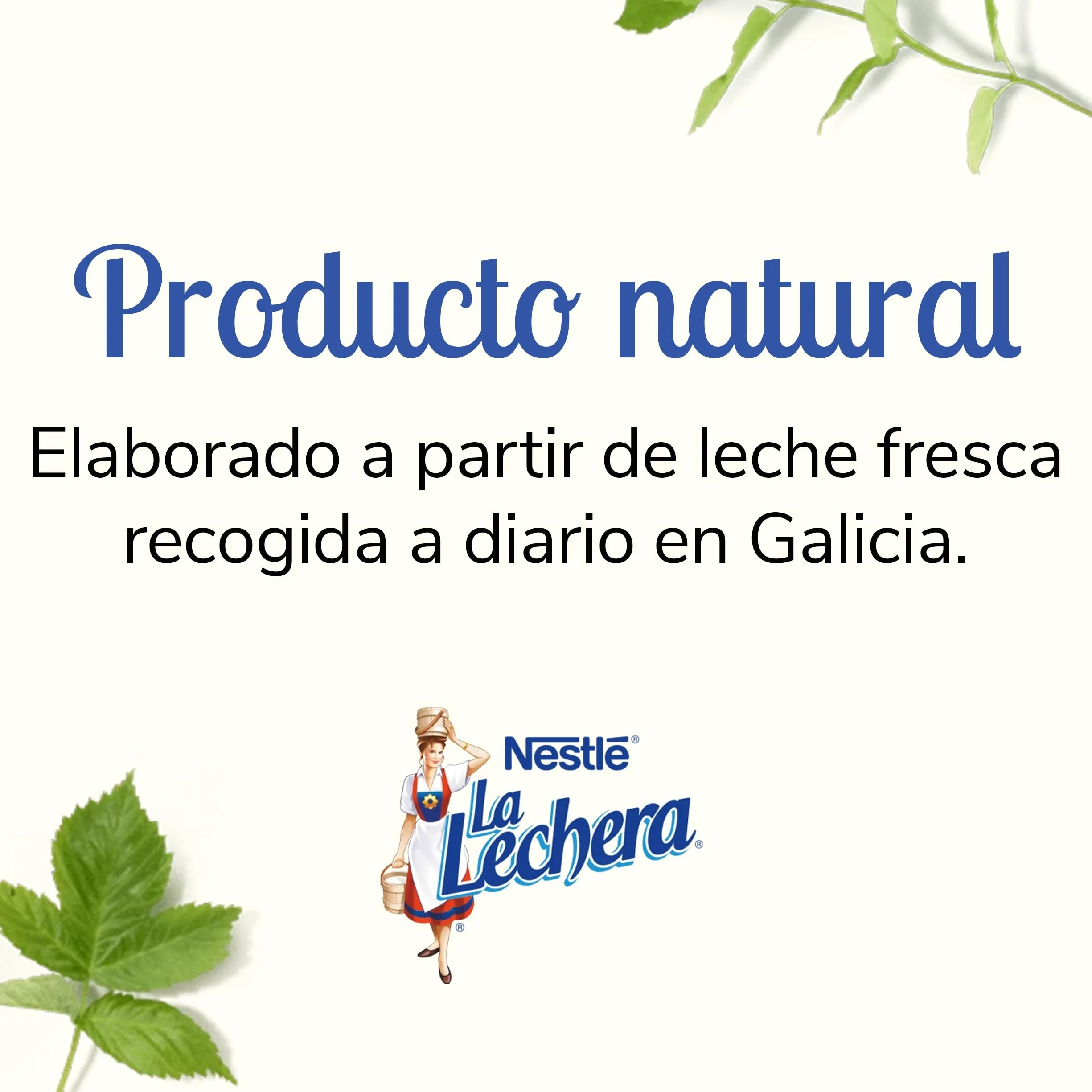 Nestlé La Lechera Leche condensada desnatada Botella 450 g 12 sztuk