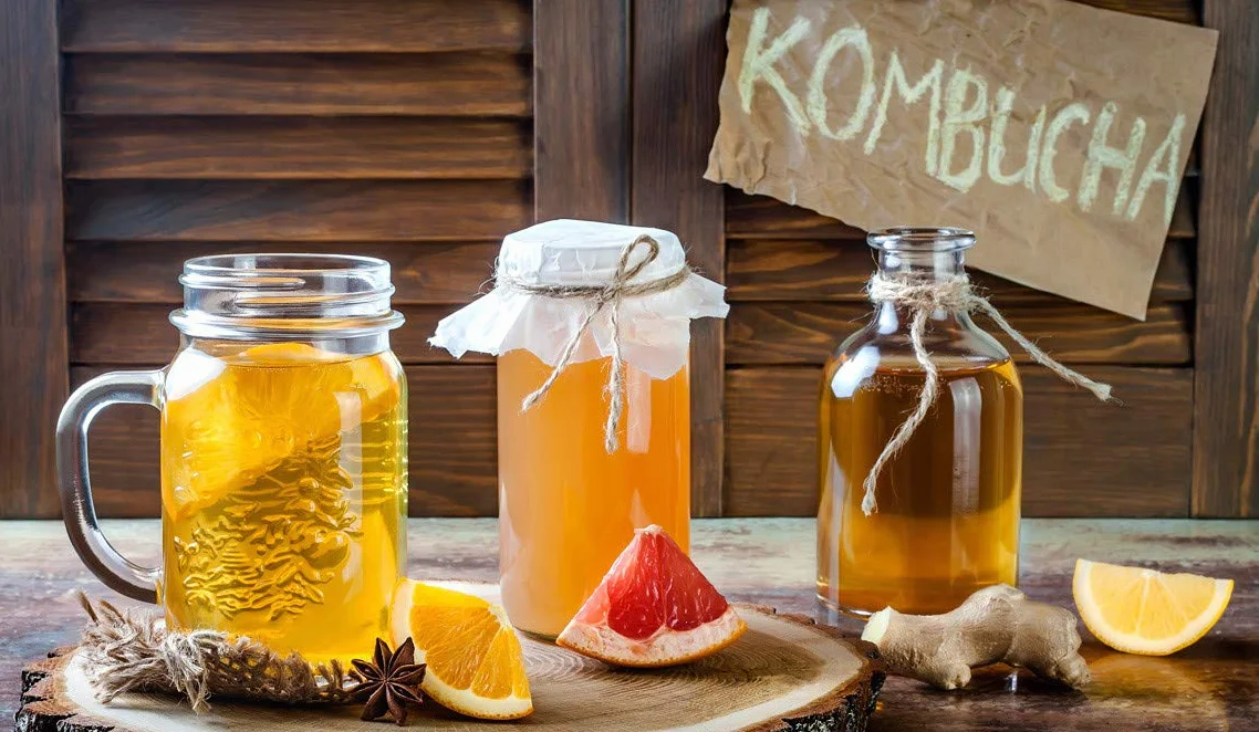 3 x BEBÉ KOMBUCHA FRESCO, SCOBY KOMBUCHA - Con Registro Sanitario (RGSEAA) - Elabora Tu Propio Té de Kombucha Biológico en Casa