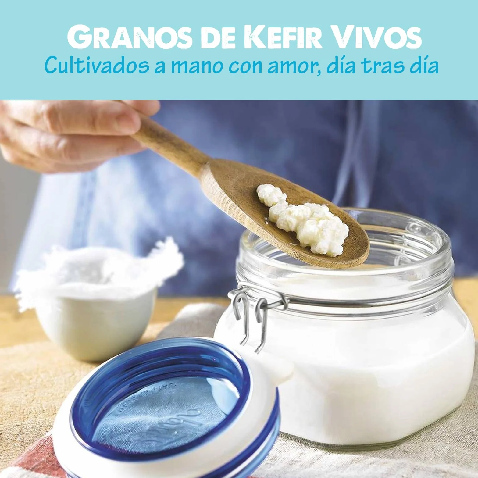 PACK COMPLETO Nódulos Kéfir de Leche Frescos + Colador 18 cm – Instrucciones y Recetas en Español – Kit Probiótico Natural con Asesoramiento - OH MY KÉFIR®