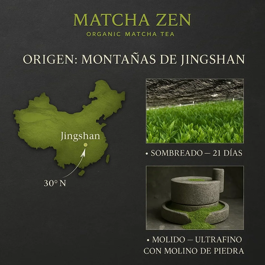Té Matcha grado Ceremonial premium bio 100 g| Matcha 100% ecológico | Té verde en polvo orgánico | Macha en polvo | MATCHA ZEN