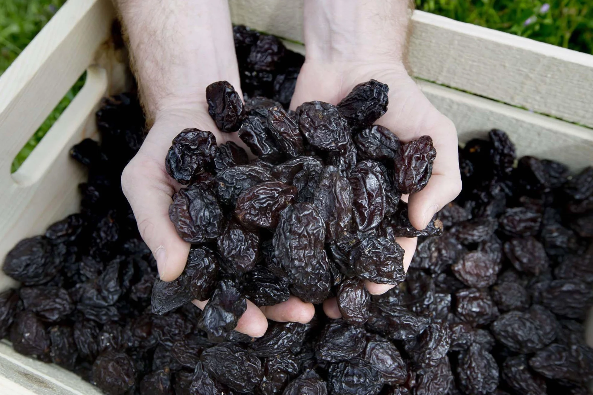 Raw Farm - Ciruelas Secas Bio Sin Hueso - 1kg - 100% Naturales, Sin Azúcar Añadido ni Edulcorantes, Suaves, Jugosas y Aromáticas