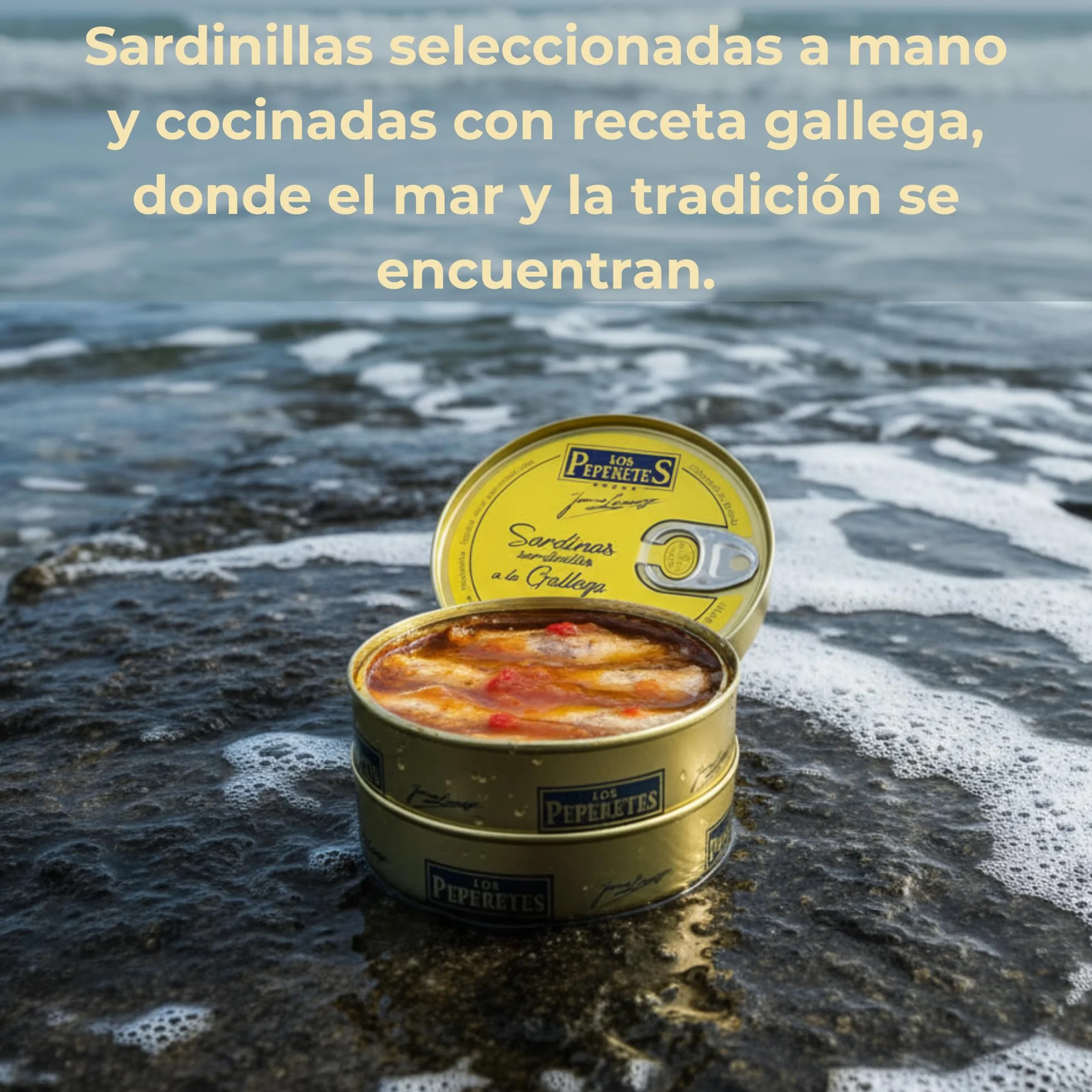Pack Gourmet Marisco Gallego con Vino Terras Gauda Pulpo al Pimentón Zamburiñas Sardinillas Lote Delicatessen