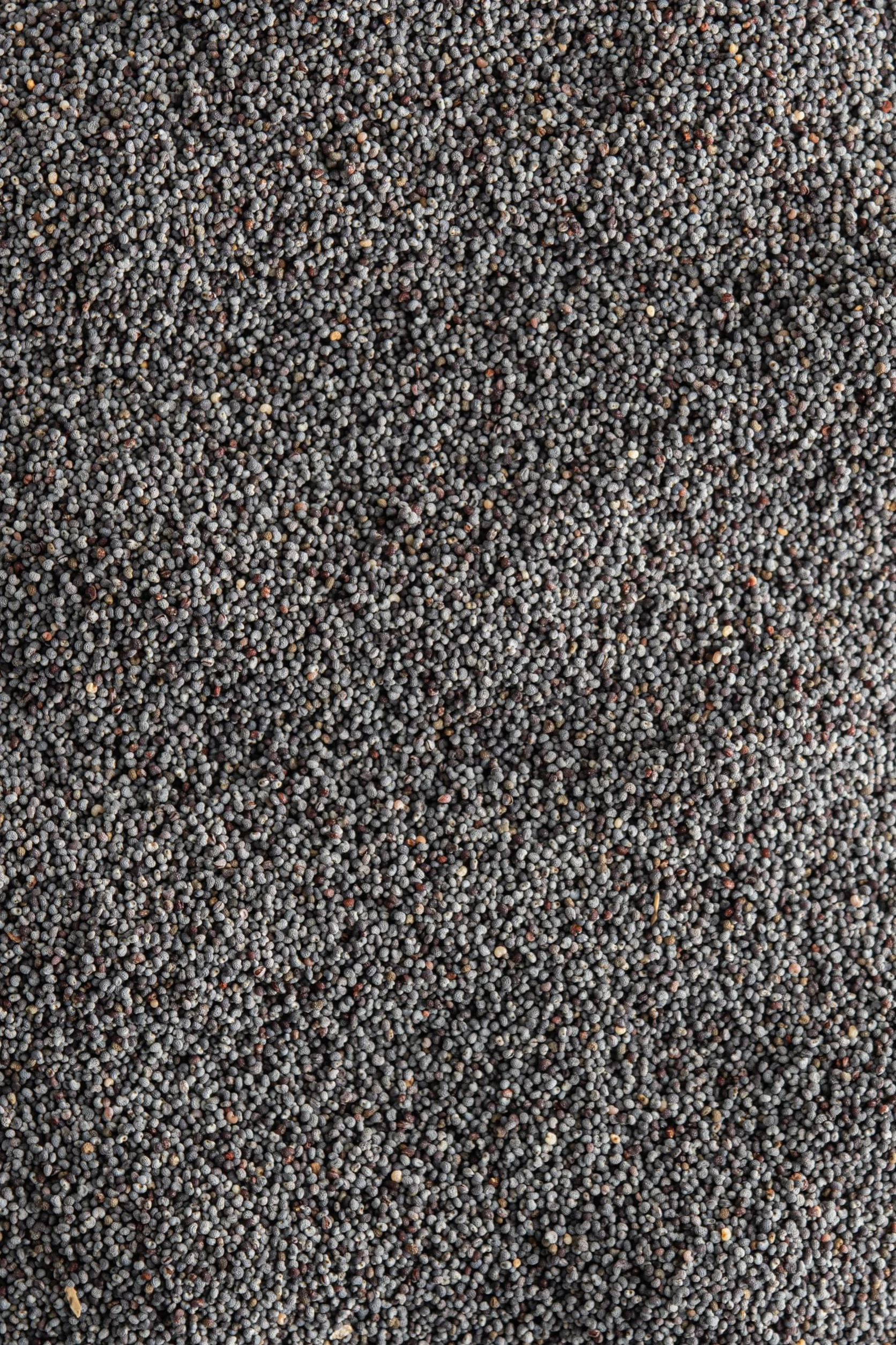 Biojoy Semillas de Amapola Azul Ecológicas (2 kg), crudas y enteras, sin aditivos