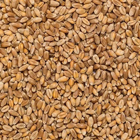 Trigo en grano Ecológico a granel - 500
