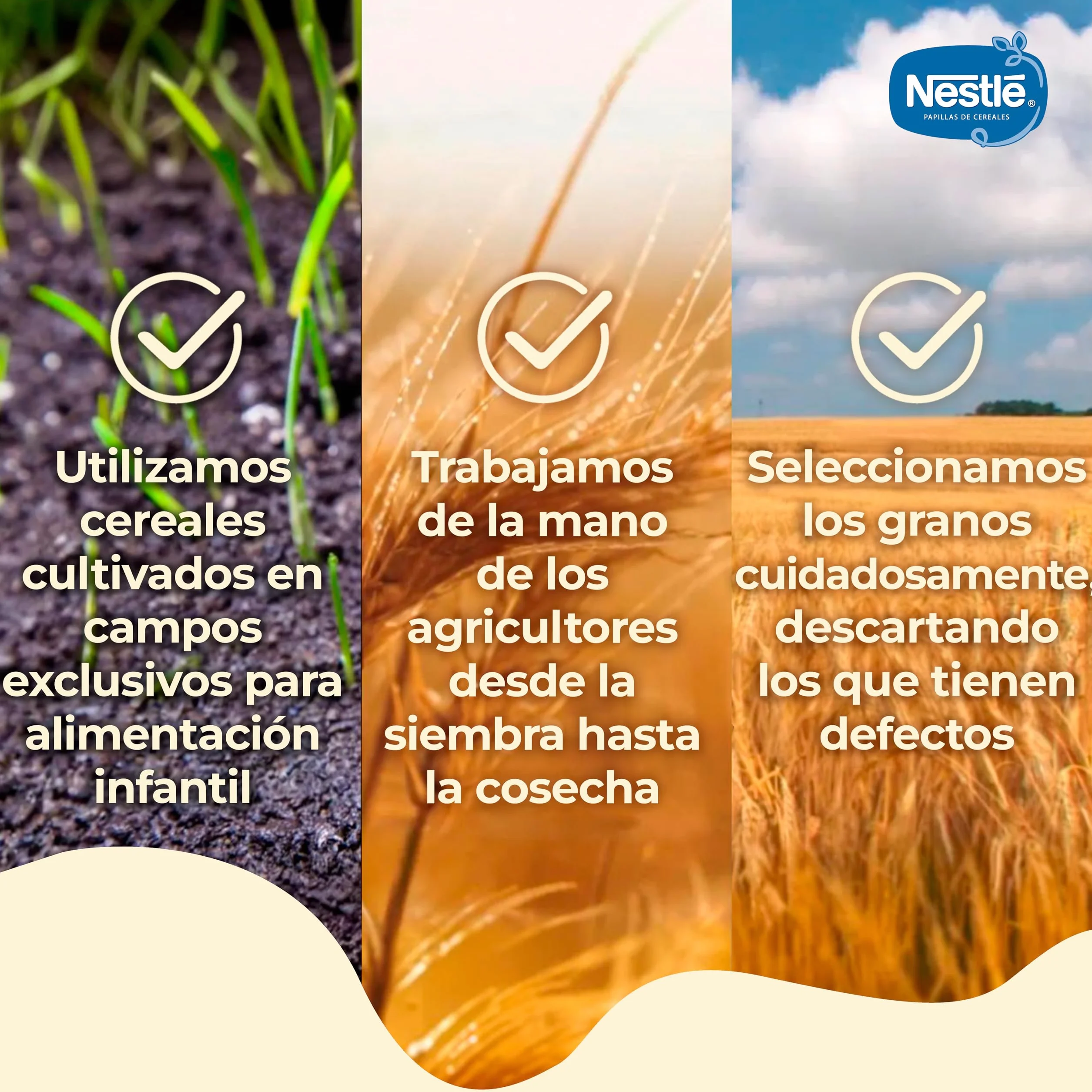 GERBER Multicereales 0% 0%, Papilla de Cereales para Bebés, Paquete 6x270g, a partir de 6 meses