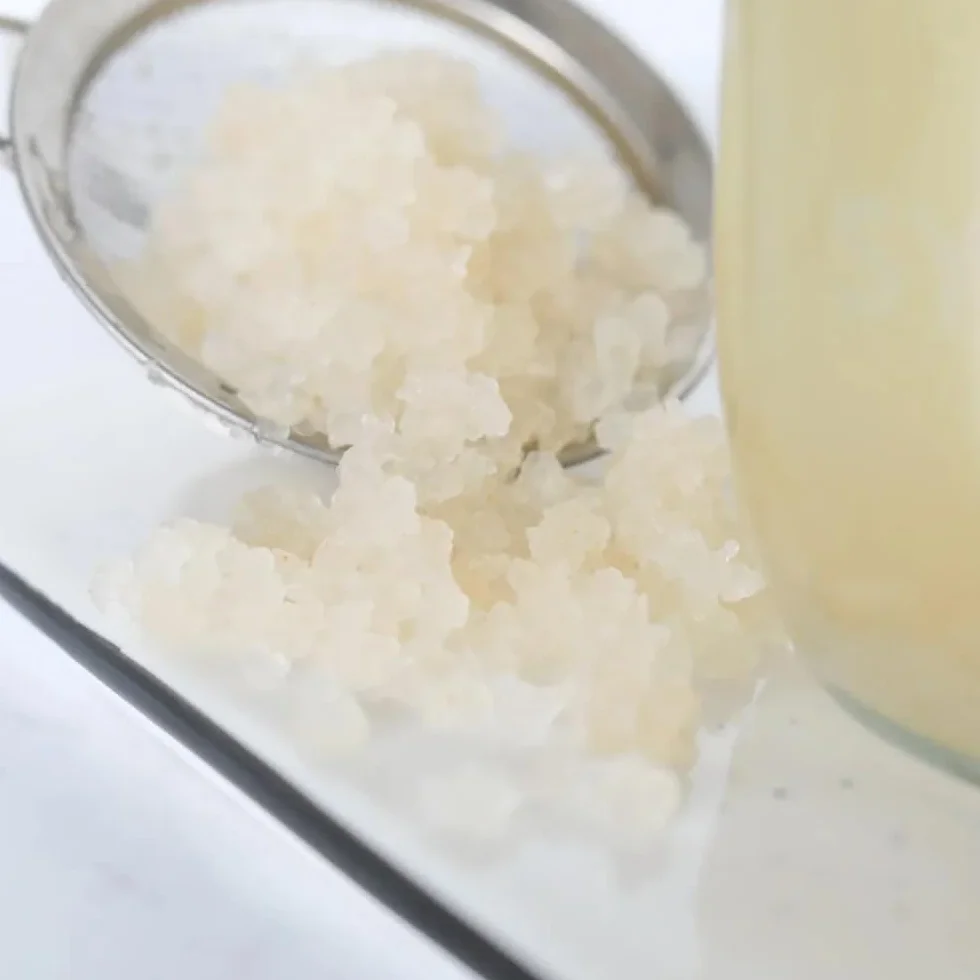 OH MY KÉFIR® Hongo/Nódulos Frescos de Kéfir de Agua 100g con Instrucciones y Recetas