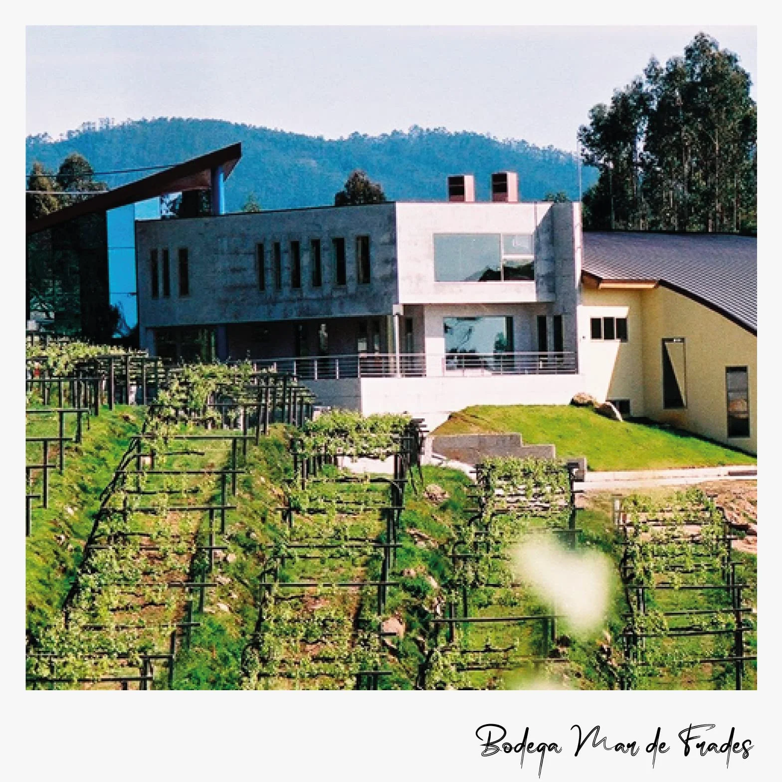 Mar De Frades Albariño - 75 cl