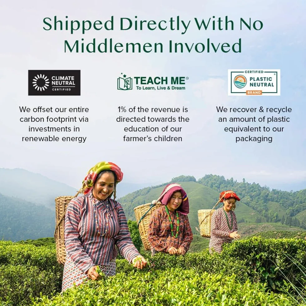 VAHDAM Caja De Regalo Surtida De Té Bloom 12 Tés Sueltos Té Negro Hierbas Oolong Verde Chai