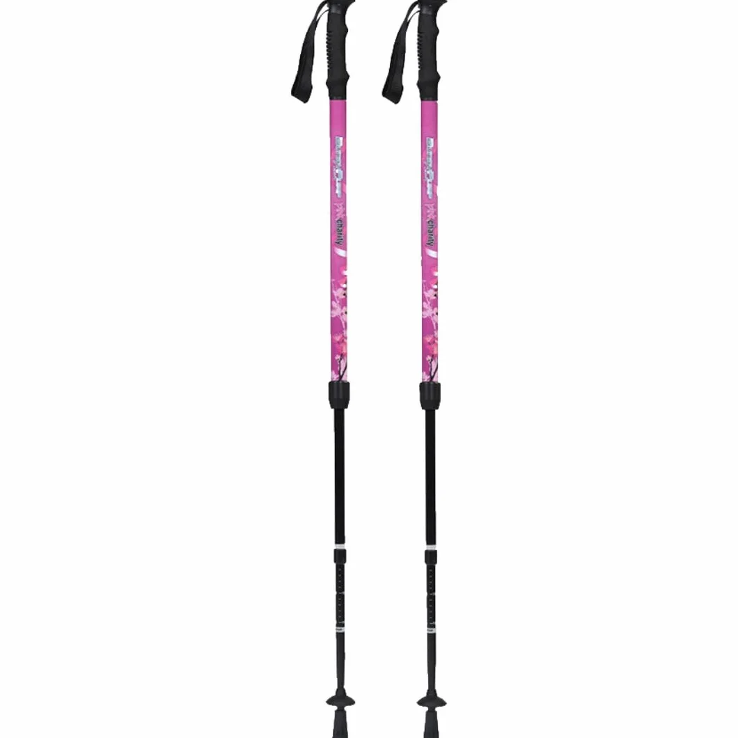 Bastones de marcha nórdica BungyPump Pink Charity 4 kg resistencia 3 piezas desmontables rosa