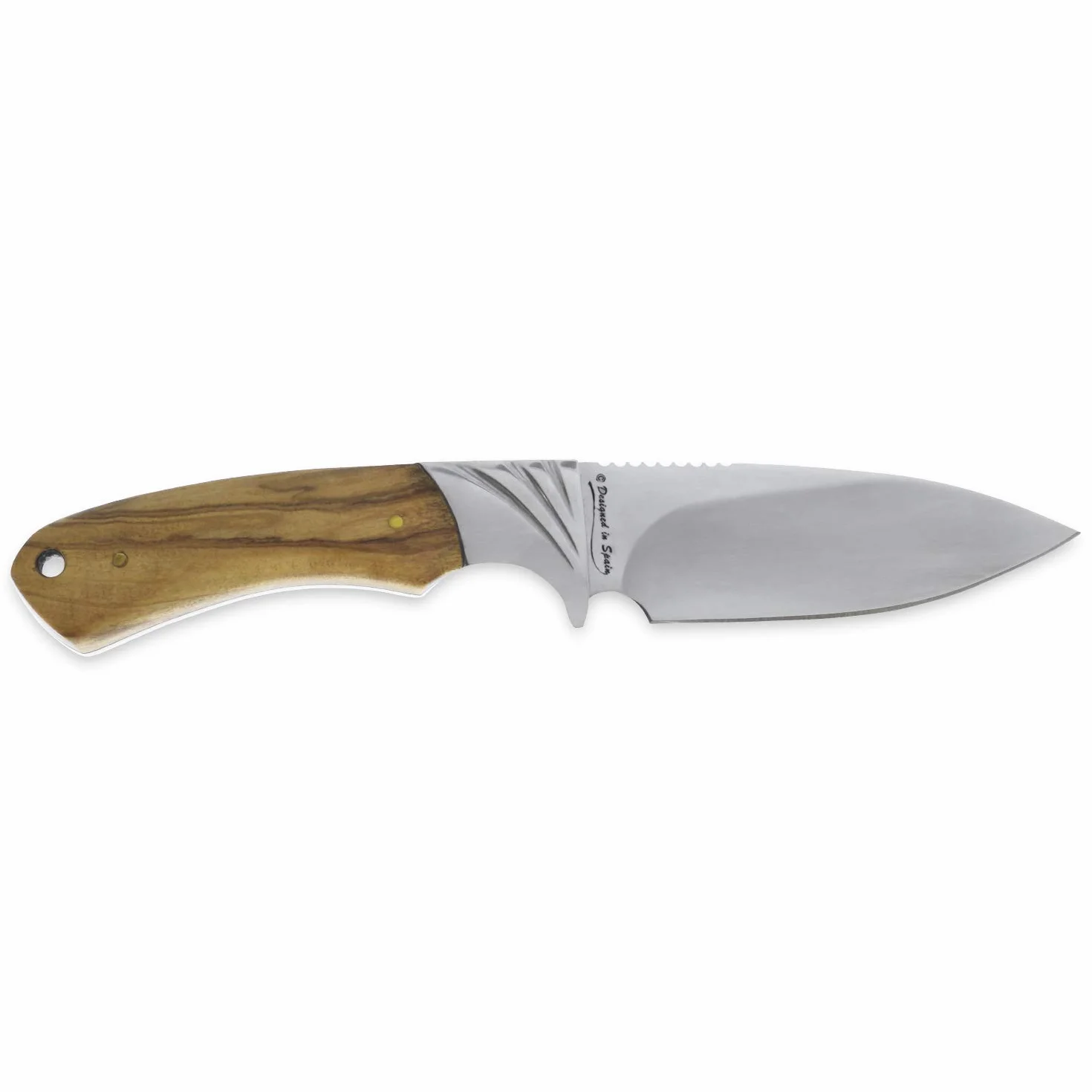 iFIELD Cuchillo de caza Camper EL29018, mango de olivo, hoja 10,8 cm, acero pulido, funda piel