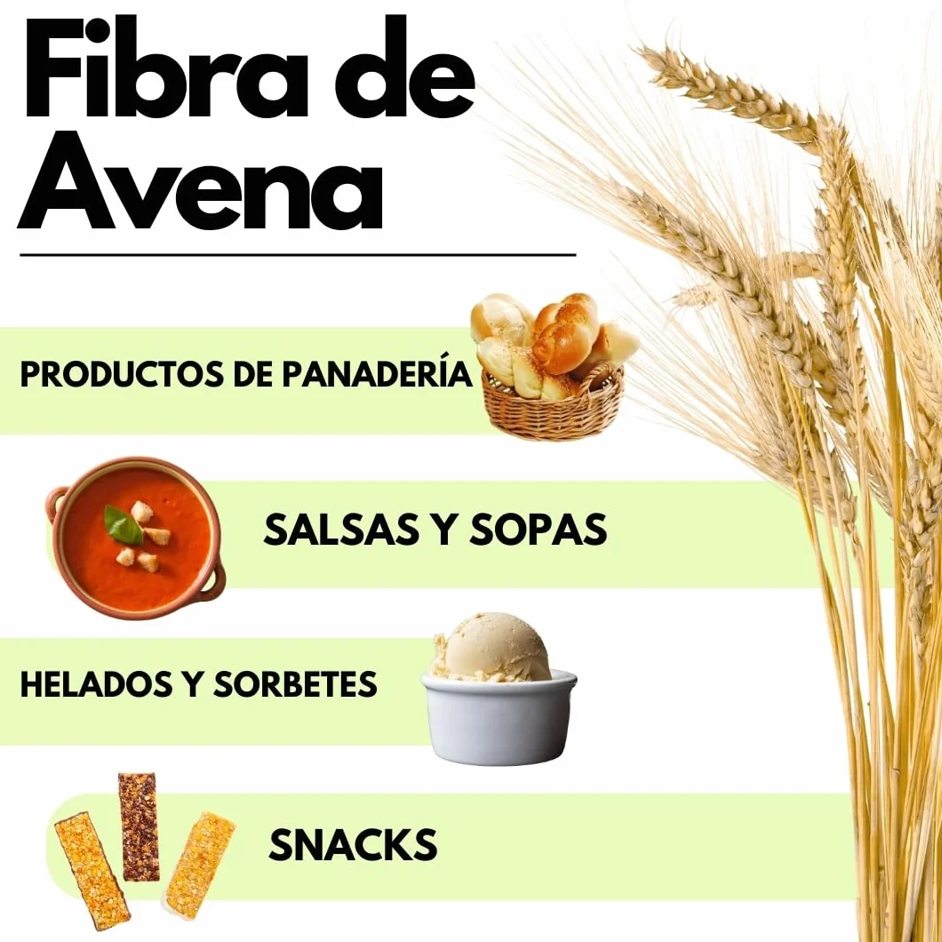 SaporePuro Fibra de Avena en polvo 1 kg - Sin Gluten - Fuente natural de fibra
