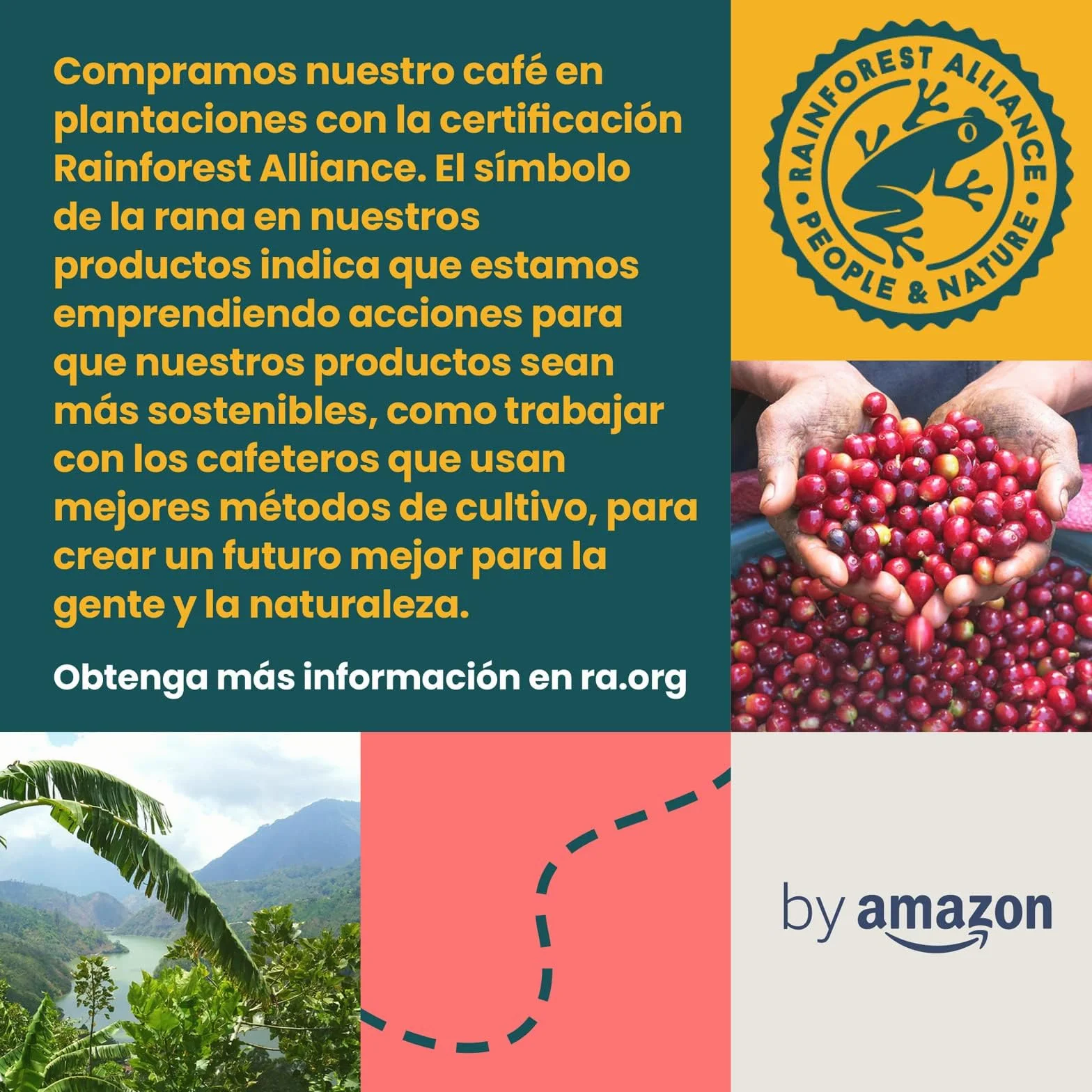 by Amazon - Café soluble liofilizado Gold, tueste medio, 200g, paquete de 6, certificado Rainforest Alliance