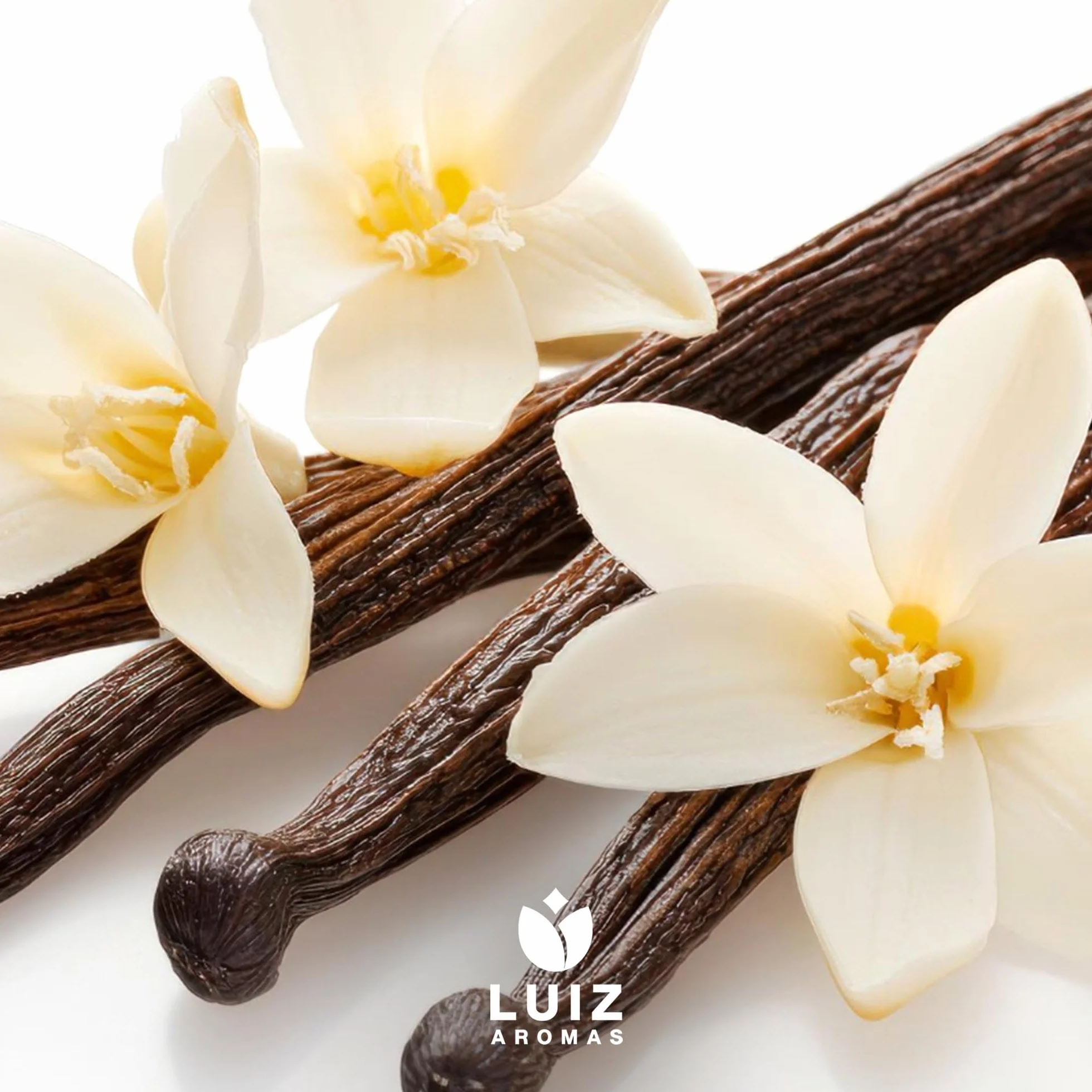 LUIZ AROMAS | Aroma Vainilla - Aroma Alimentario en Gotas para dulces de Hornear, Pasteles, Bizcochos y Tartas | Producto Vegano sin Calorías y sin Azucar | Producto 100% Italiano (50g)