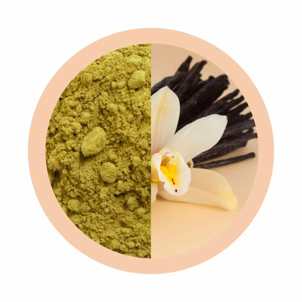 Matchaflix | Té Matcha Premium Sabor Vainilla (100 Gramos) | Té Instantáneo | Healthy | Green Drink