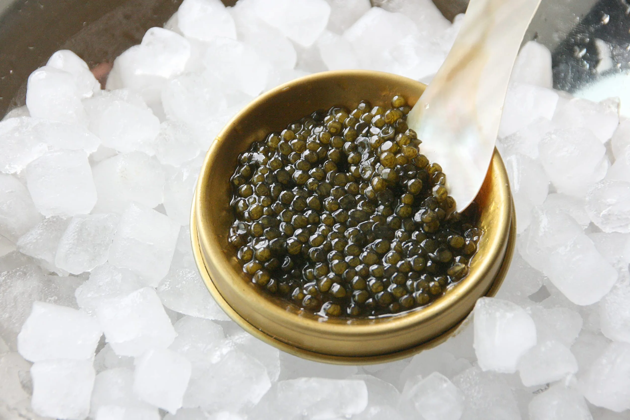 Caviar Amour Beluga 000
