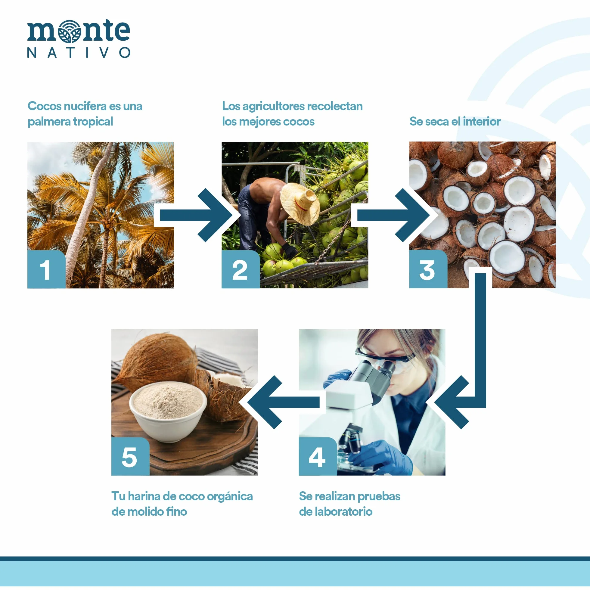 Harina de coco orgánica 1kg (1000g) de Monte Nativo - Alternativa sin gluten a la harina de trigo - Ideal como ingrediente de cocción para el pan, repostería y pasteles - Sutil sabor dulce a nuez