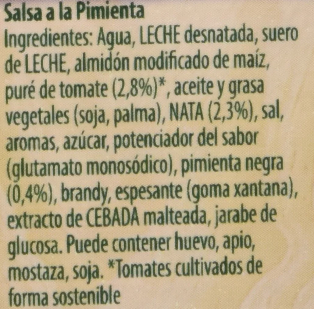 Knorr - Salsa Brick A La Pimienta, 300 ml - [Pack de 2]