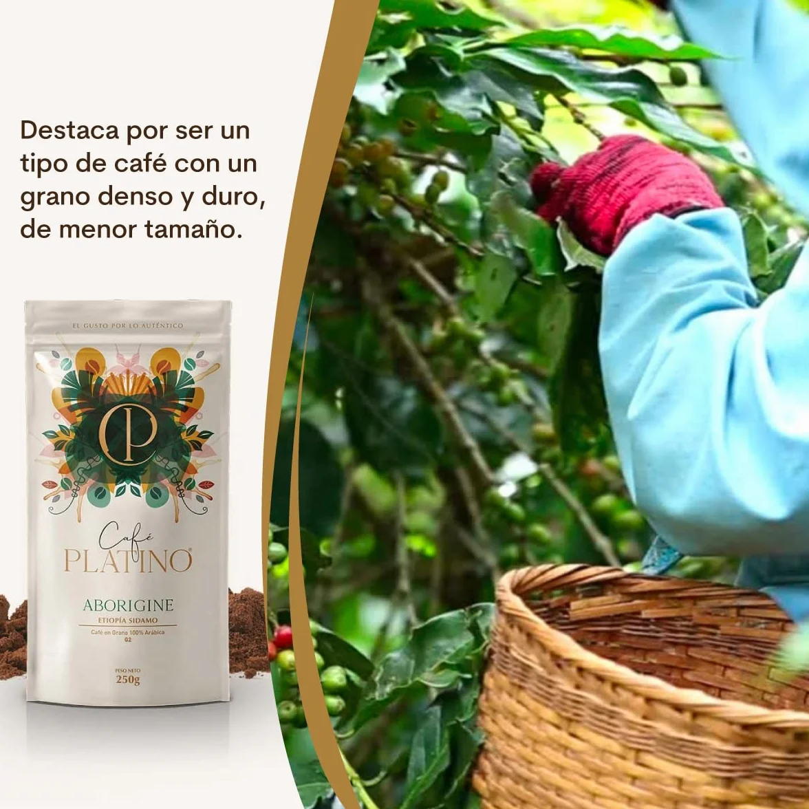 Café Platino Aborigine - Café Molido de Etiopía Sidamo Tostado 250g - 100% Arábica G2