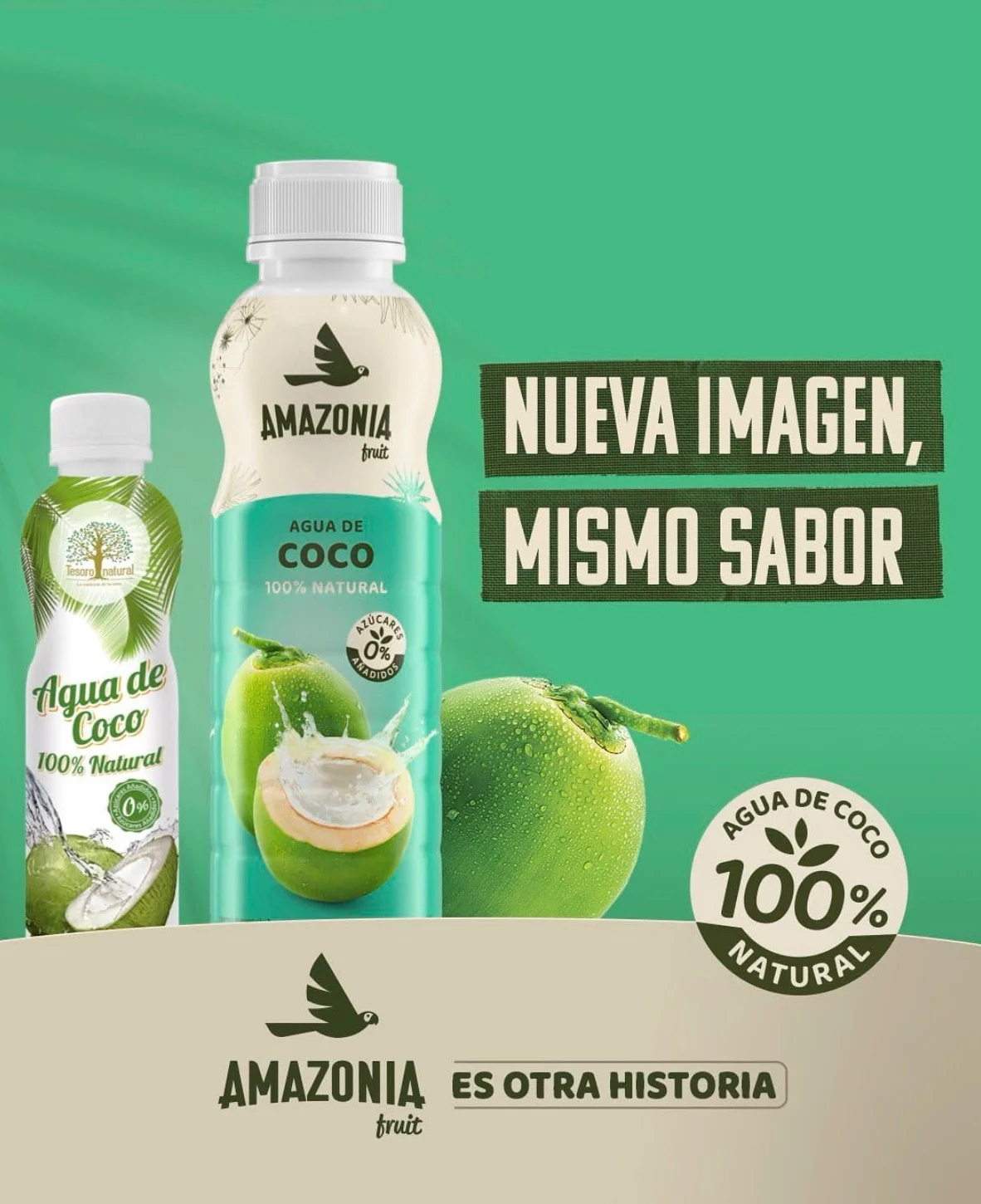 Tesoro Natural Agua de Coco 100% Natural, Pack de 12 Latas, 500 ml