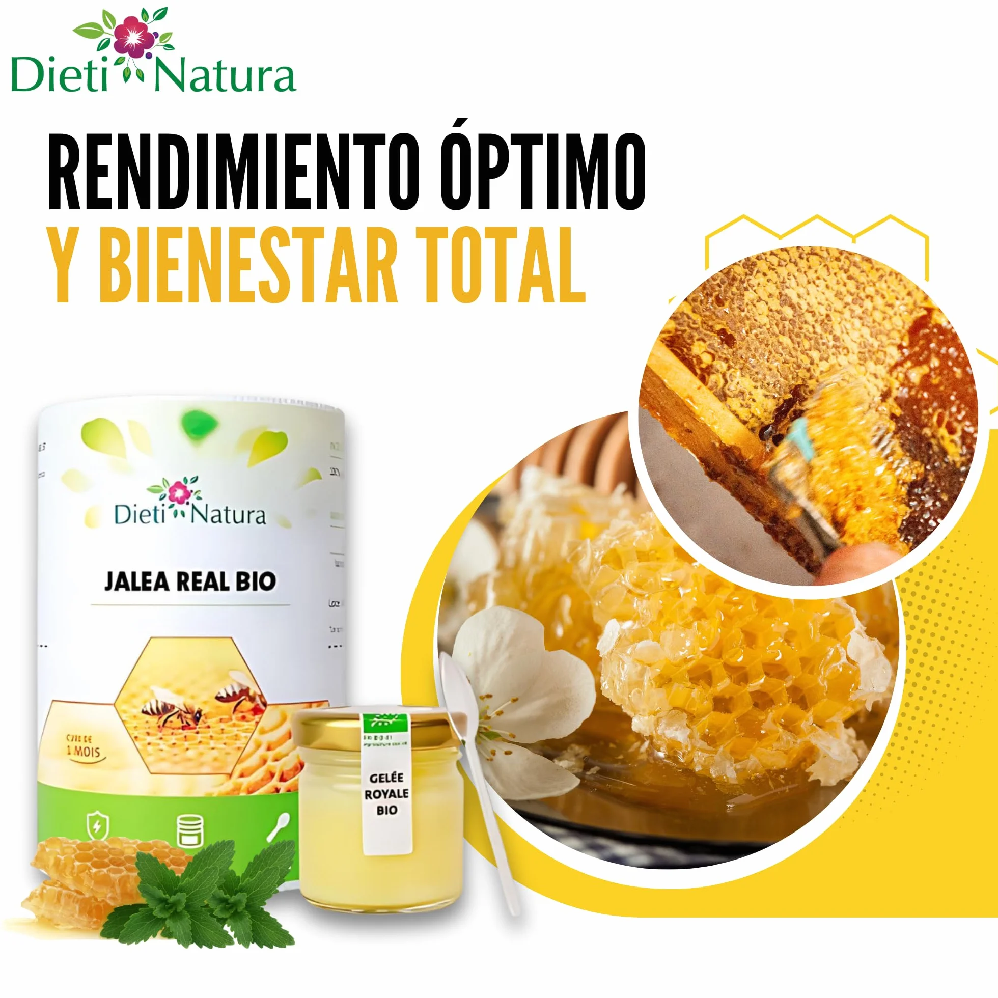 Dieti Natura Tarro de Jalea Real Fresca BIO (30g) (Pack de 6) - Jalea Real Pura con Elementos Esenciales: Vitaminas, Oligoelementos y Minerales para Energía Natural y Defensa Inmunológica