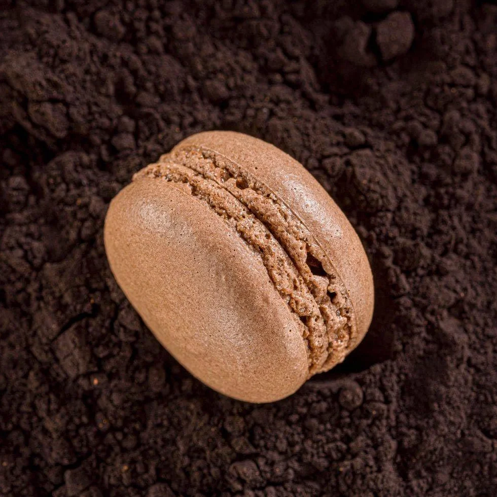 Callebaut Signature Collection Velvet Légère 1% cacao en polvo desgrasado alcalizado bajo en grasa cacao para hornear, 750 g