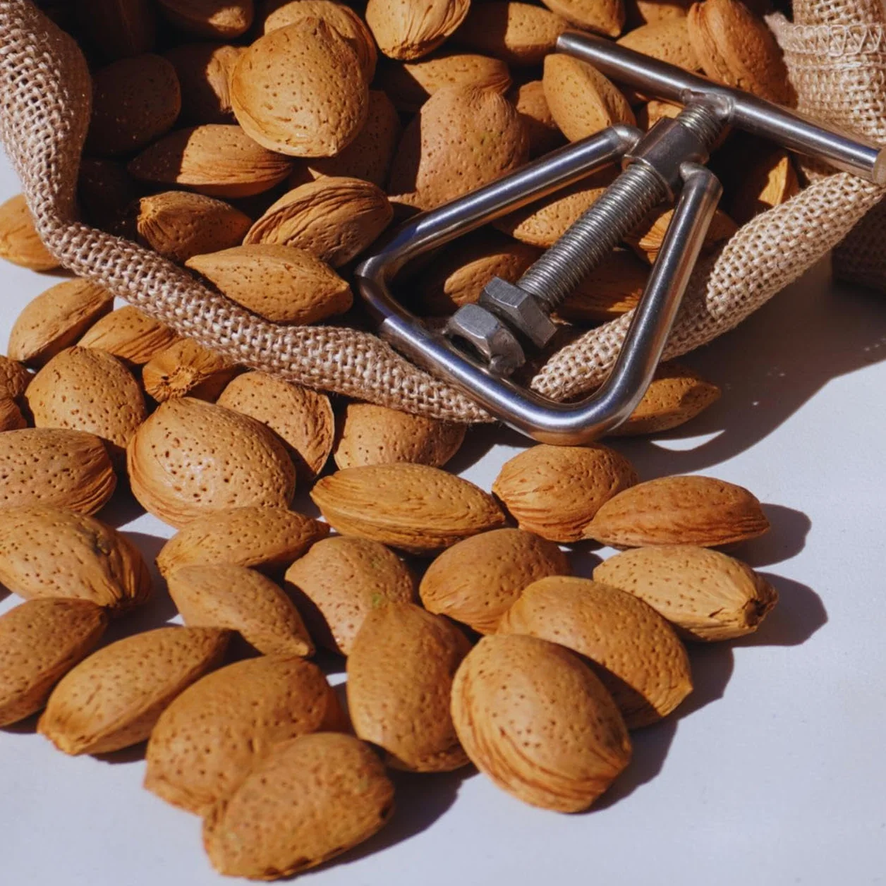 Almendras con Cáscara 2 Kg - Premium Españolas - Fruto Seco Nacional - Sostenibles y 100% Naturales - Made in Spain