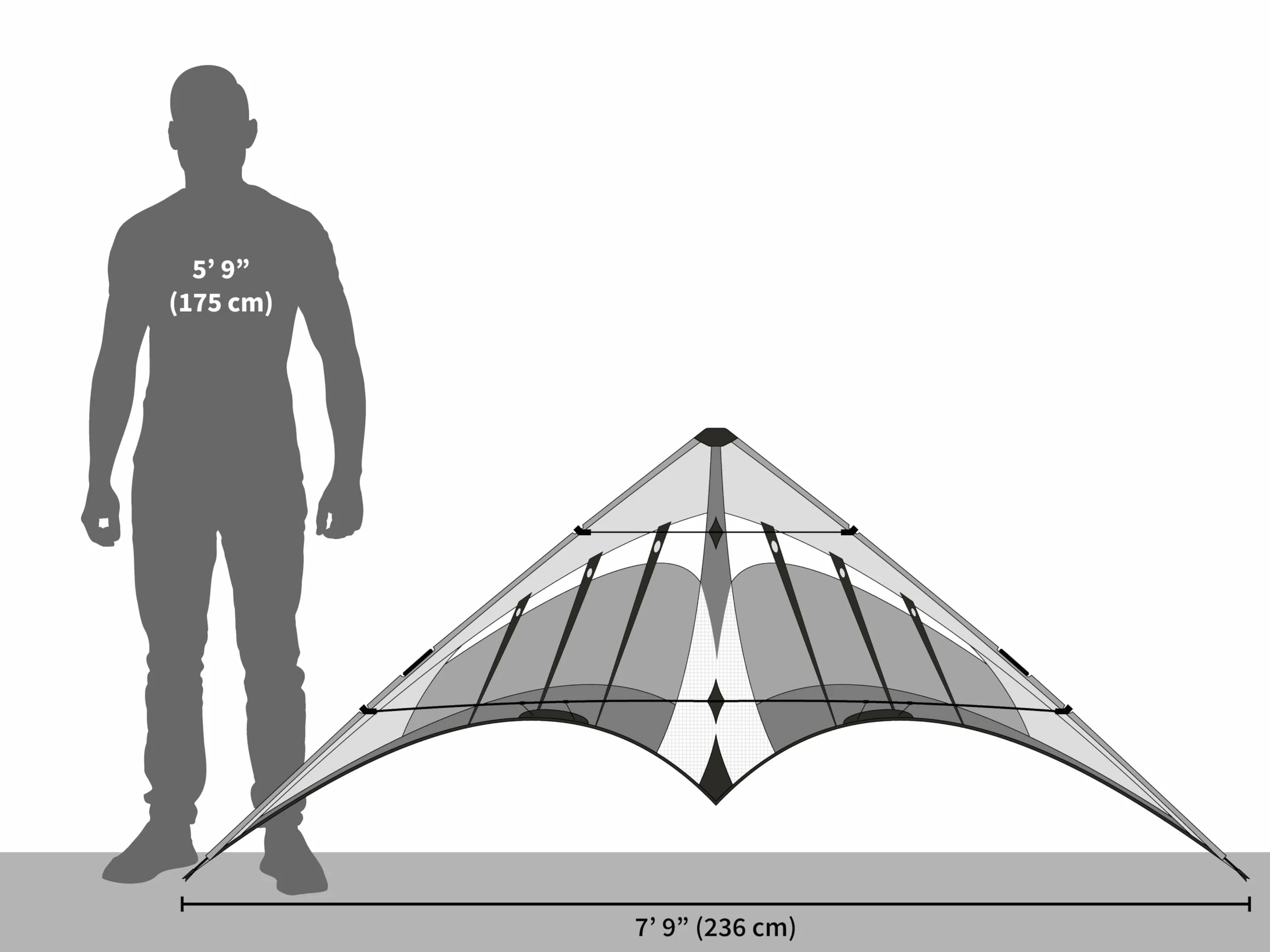 Prism Hypnotist Dual-Line Stunt Kite
