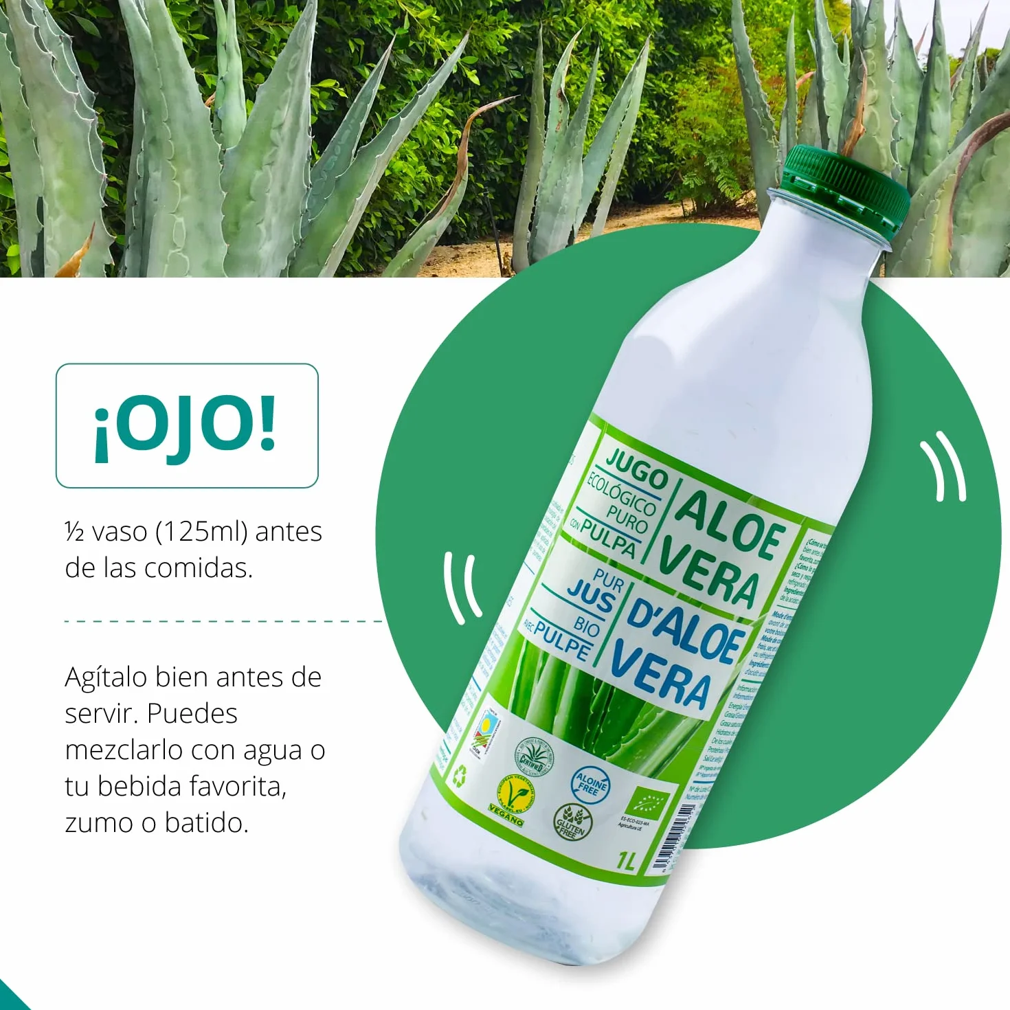 Green Frog - Bebida de Aloe Vera Puro con Pulpa (99,8%) - 1 Litro - Certificado Bio Europeo - 100% Ecológico - Libre de Aloínas y Azúcares - Rico en Vitaminas y Aminoácidos